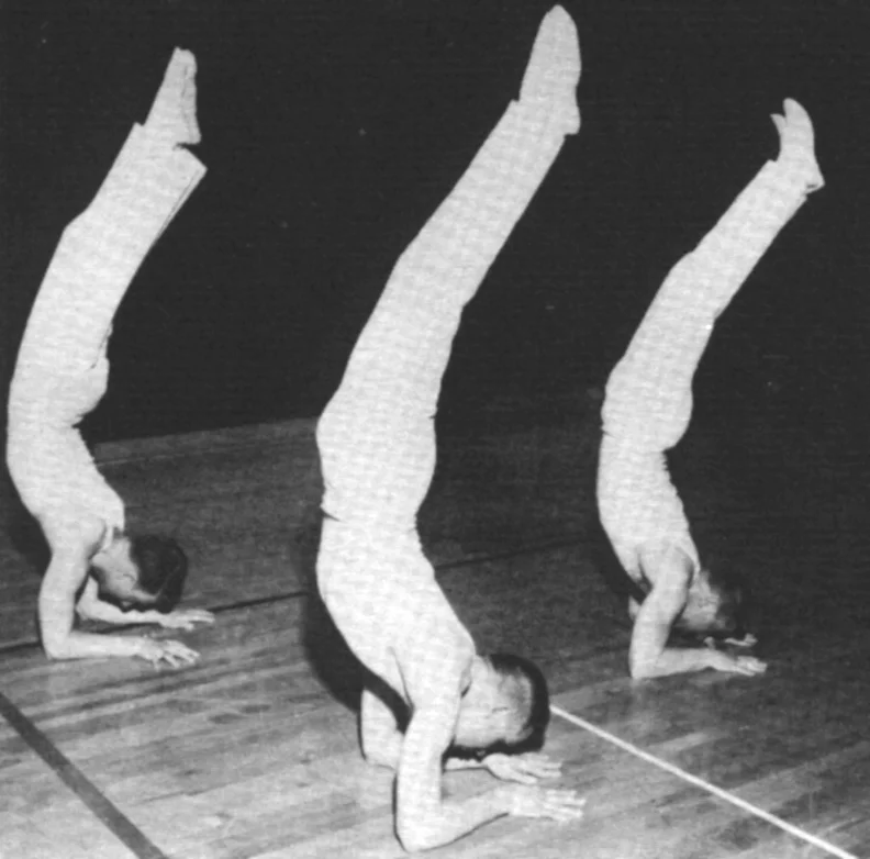 Free Calisthenics