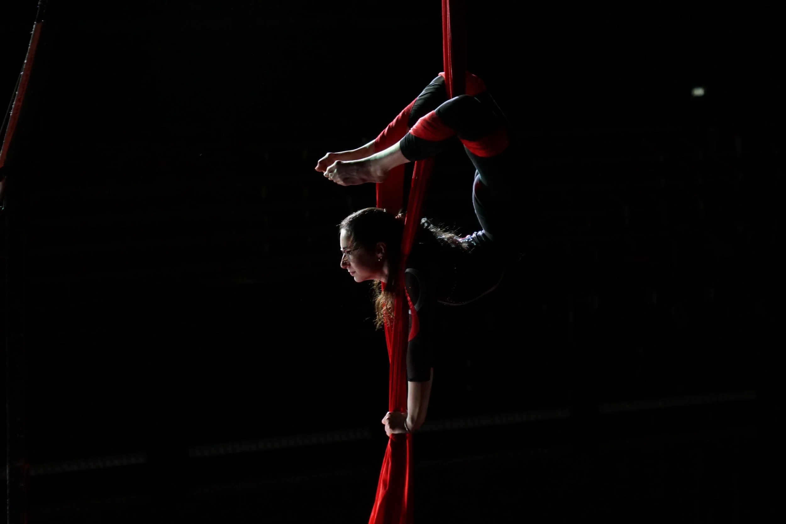  Emma Arenstein silks 