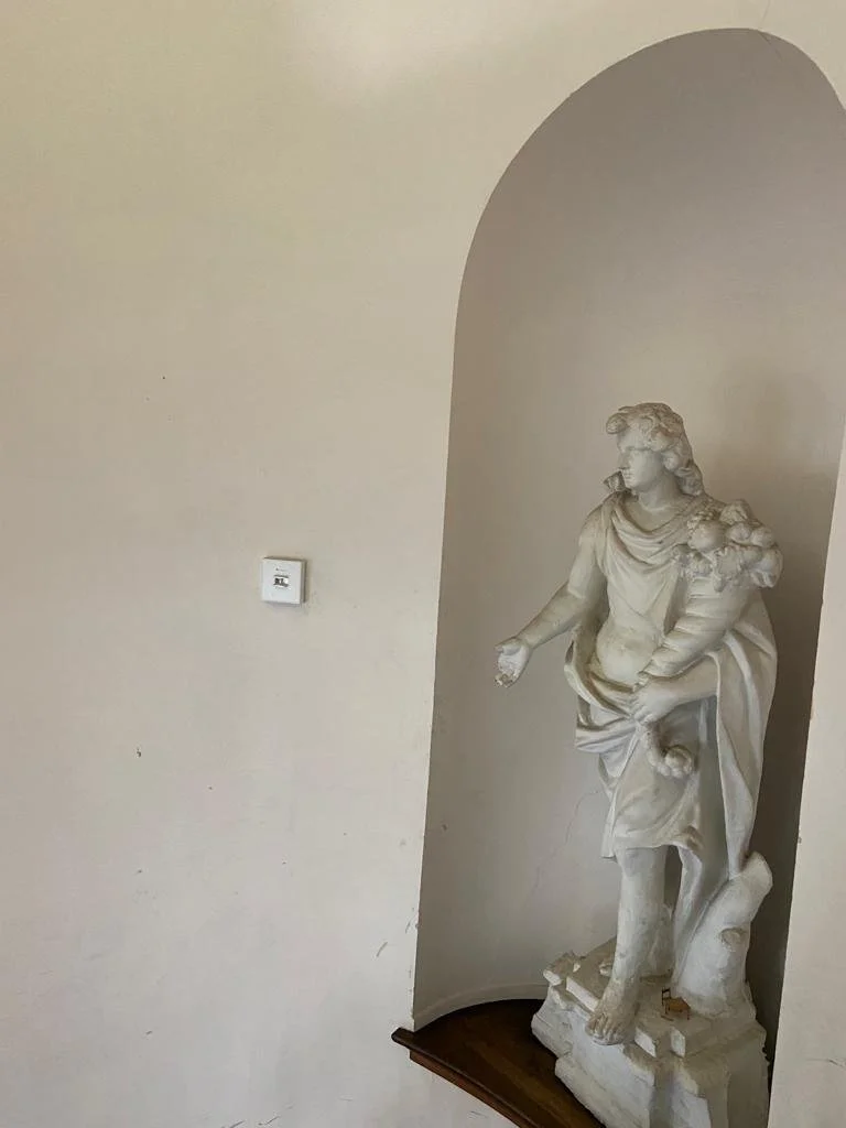 WhatsApp Image 2023-01-06 at 16.25.50 (7).jpeg