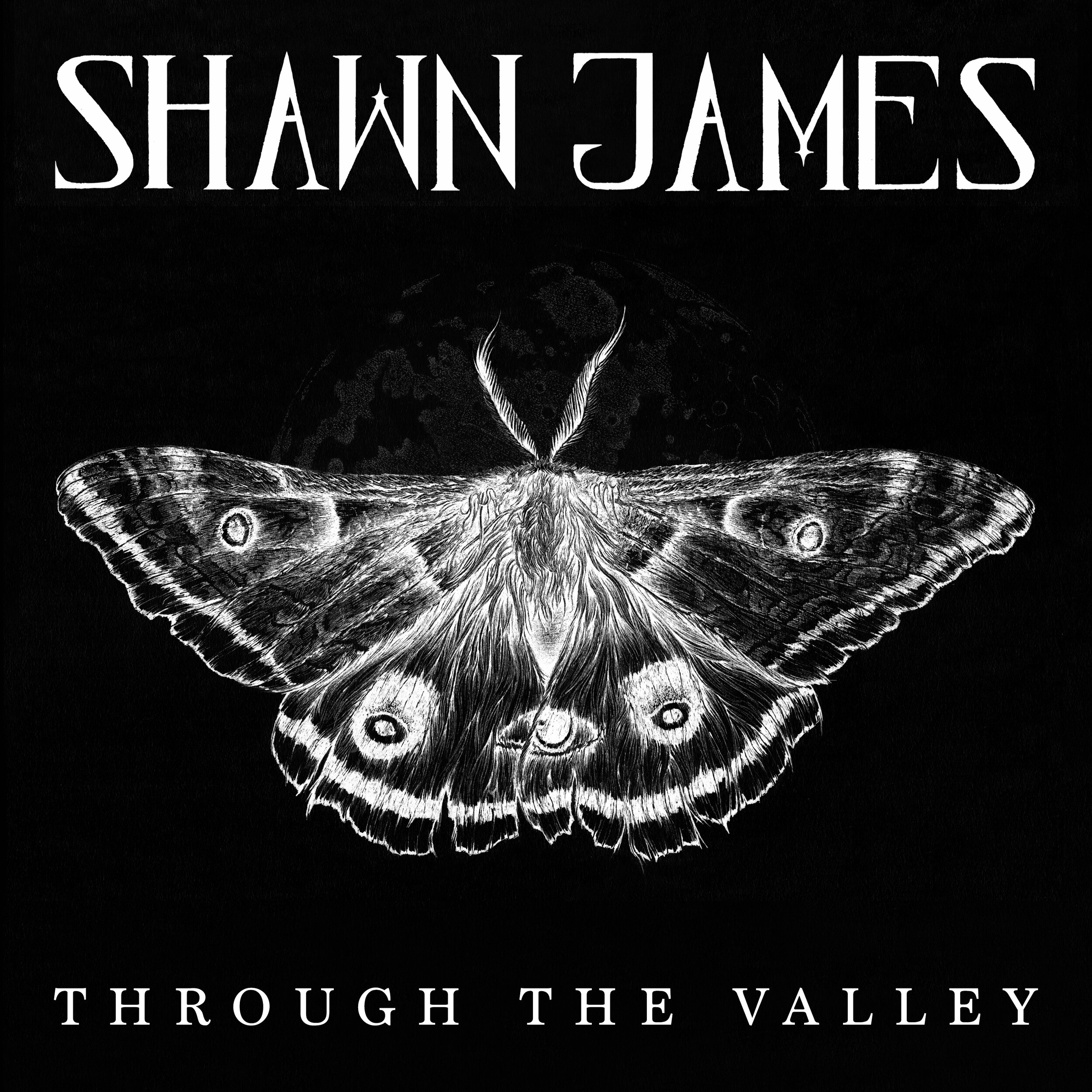 Shawn James -Through the Valley Moth.jpg