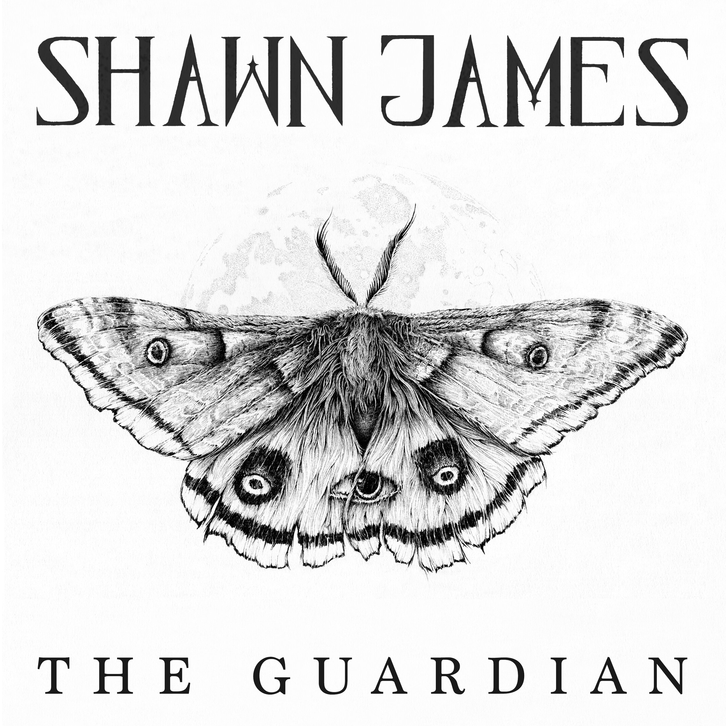 Shawn James - The Guardian - Cover Artwork.jpg