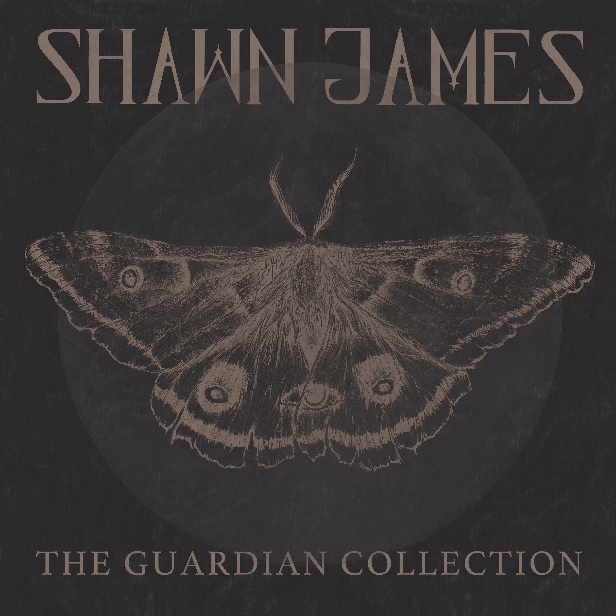 Shawn James Drops new album: 'The Guardian Collection'
