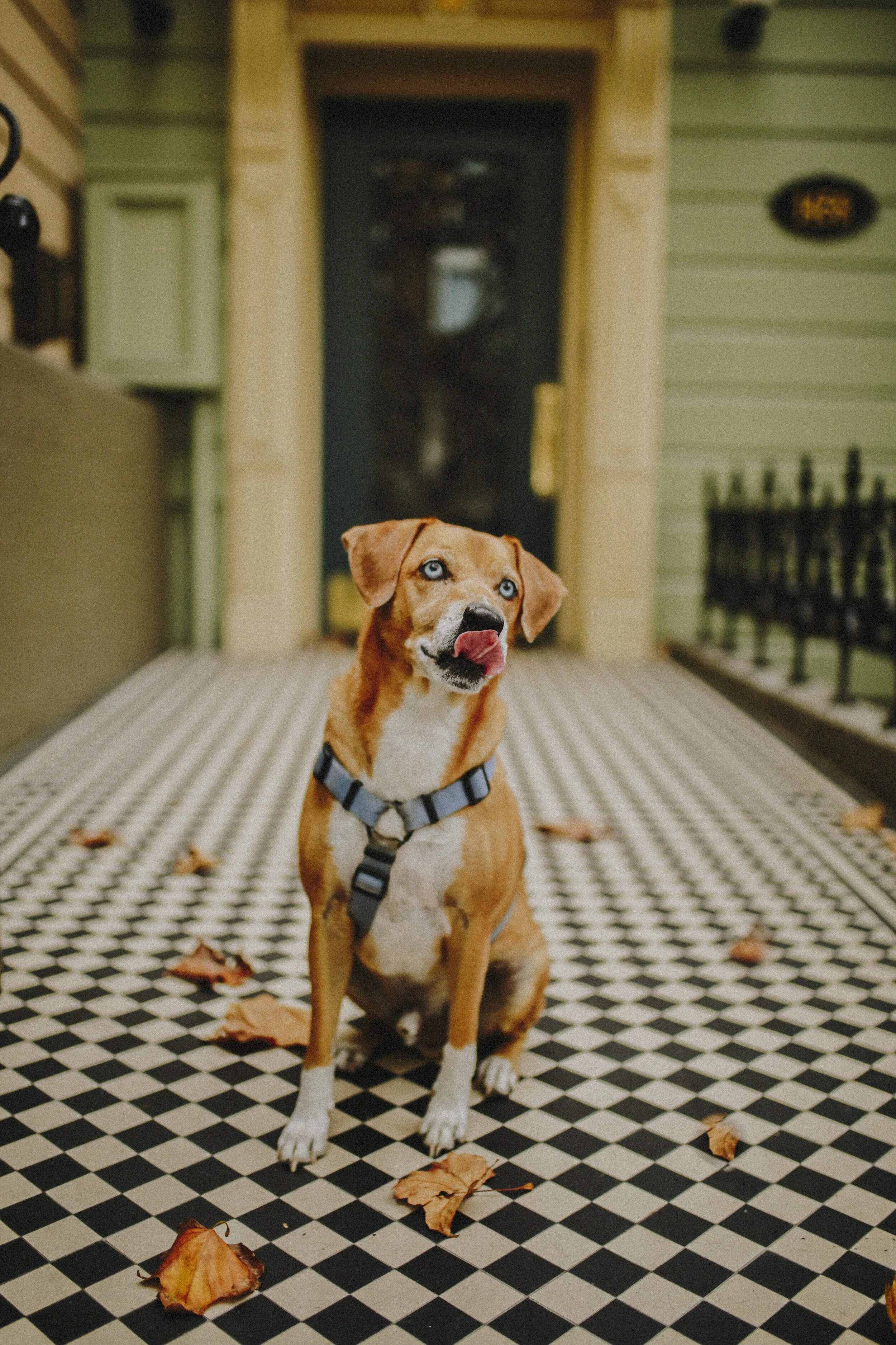 [chelsey ray]-[trailblazer]-[@chelseyrayphoto]-[@adventuresofsukhablue]-[San Fransisco]-10.JPG