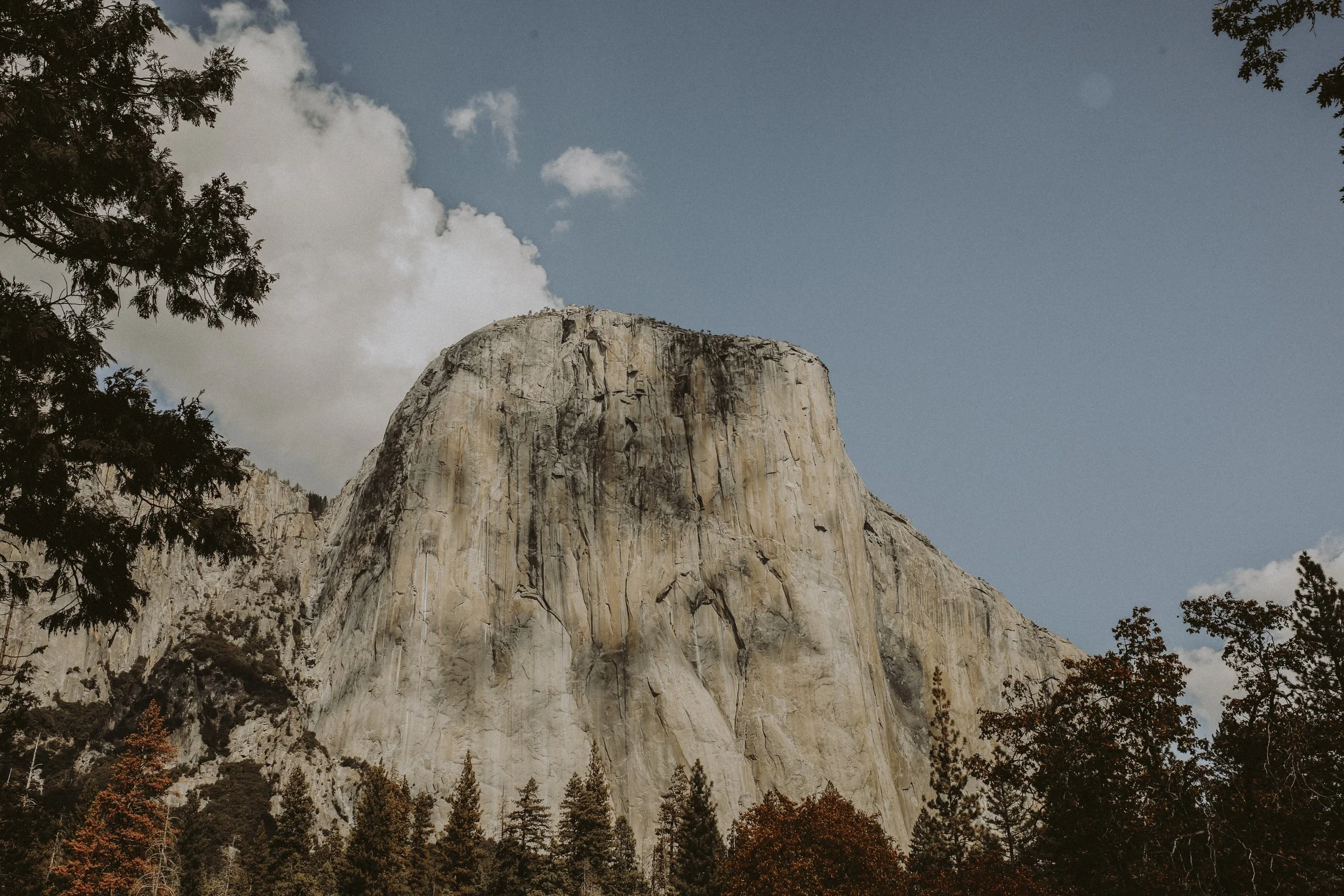 [chelsey ray]-[trailblazer]-[@chelseyrayphoto]-[yosemite]-5.jpeg