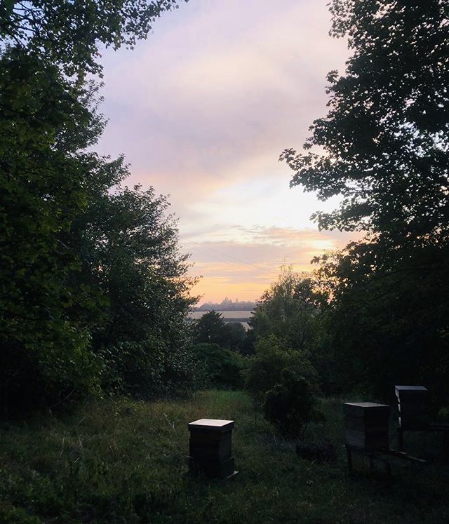 Peace and quiet in the midst of a frenetic moment. #peaceandquiet #happybees #ruralretreat #bedandbreakfast #lavenham #suffolk #ilovemyfamily