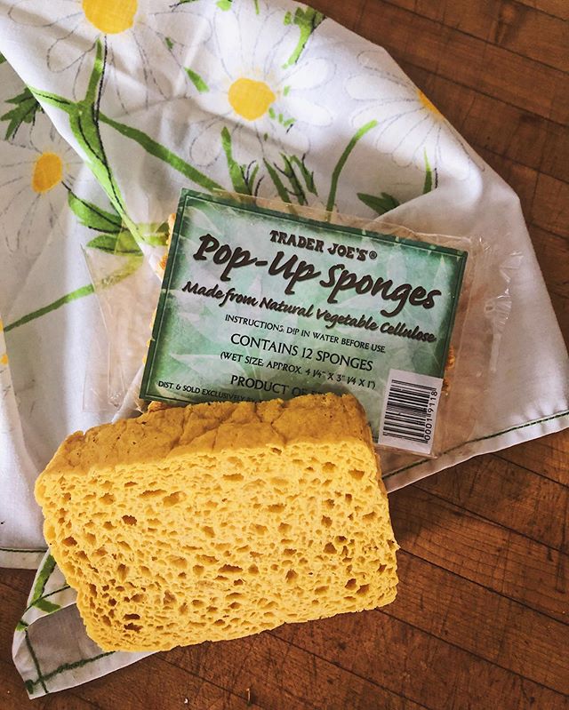 ✅Greener cleaning tip:✅ Ditch your single-use sponges!! I get it, sponges can be one of dirtiest things in our homes, as they can harbor and hold dangerous bacteria and germs. But, that&rsquo;s not all, typical sponges also contain oil based, environ