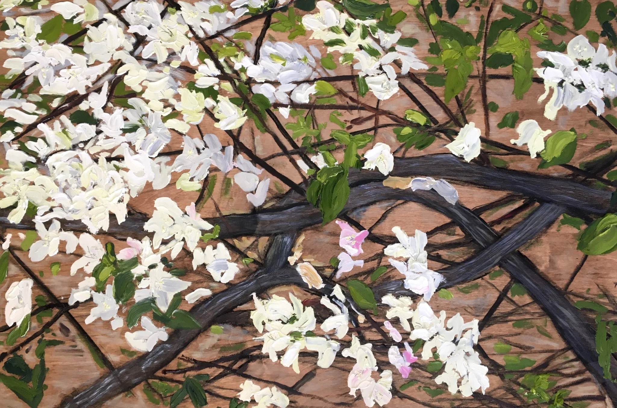Climbing Tangled and White