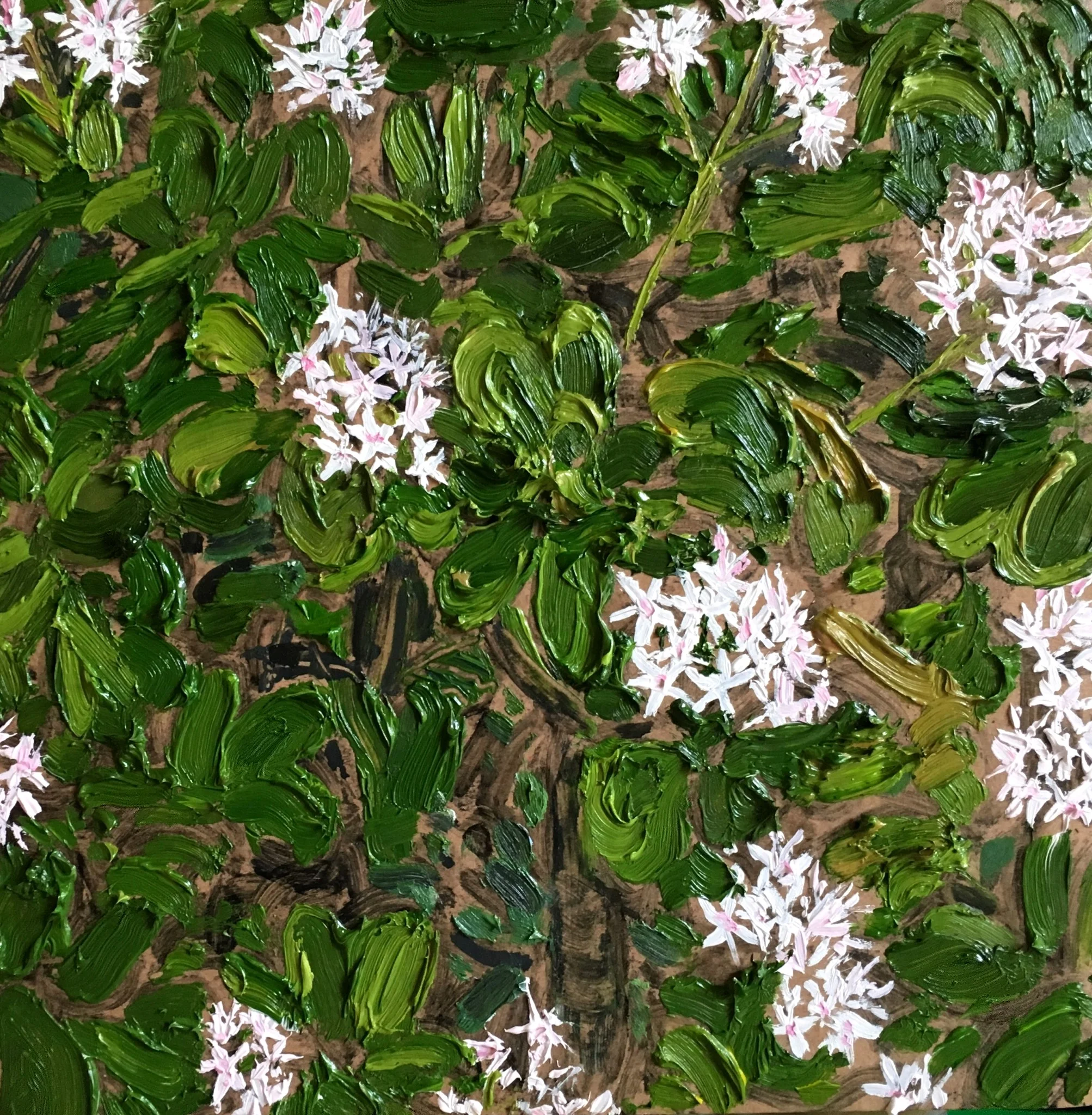 Lucky Plant