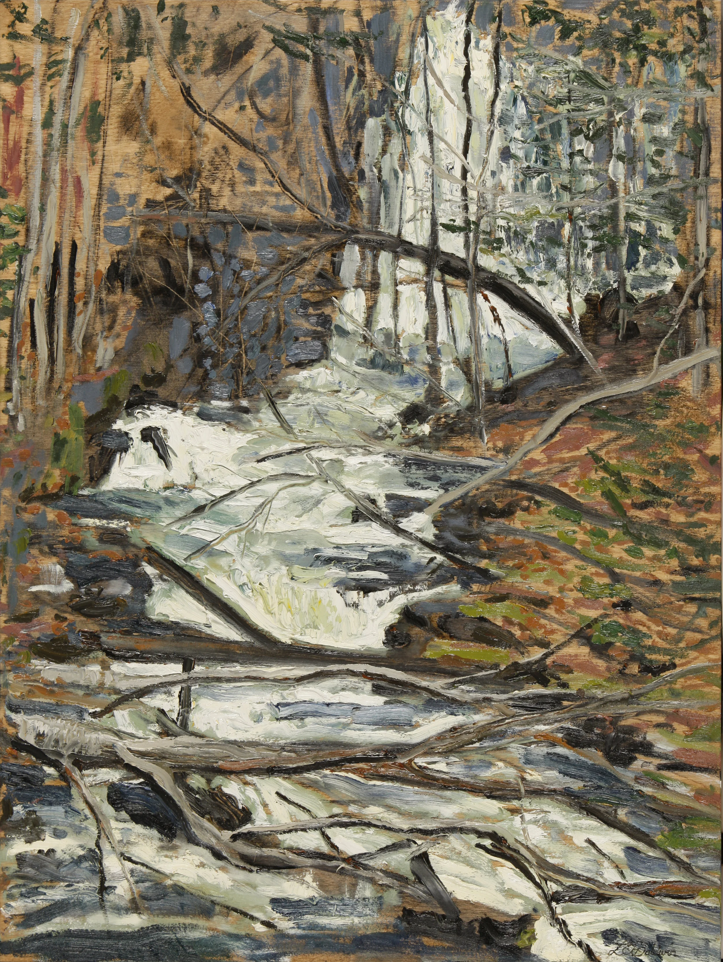 Spring Runoff 
