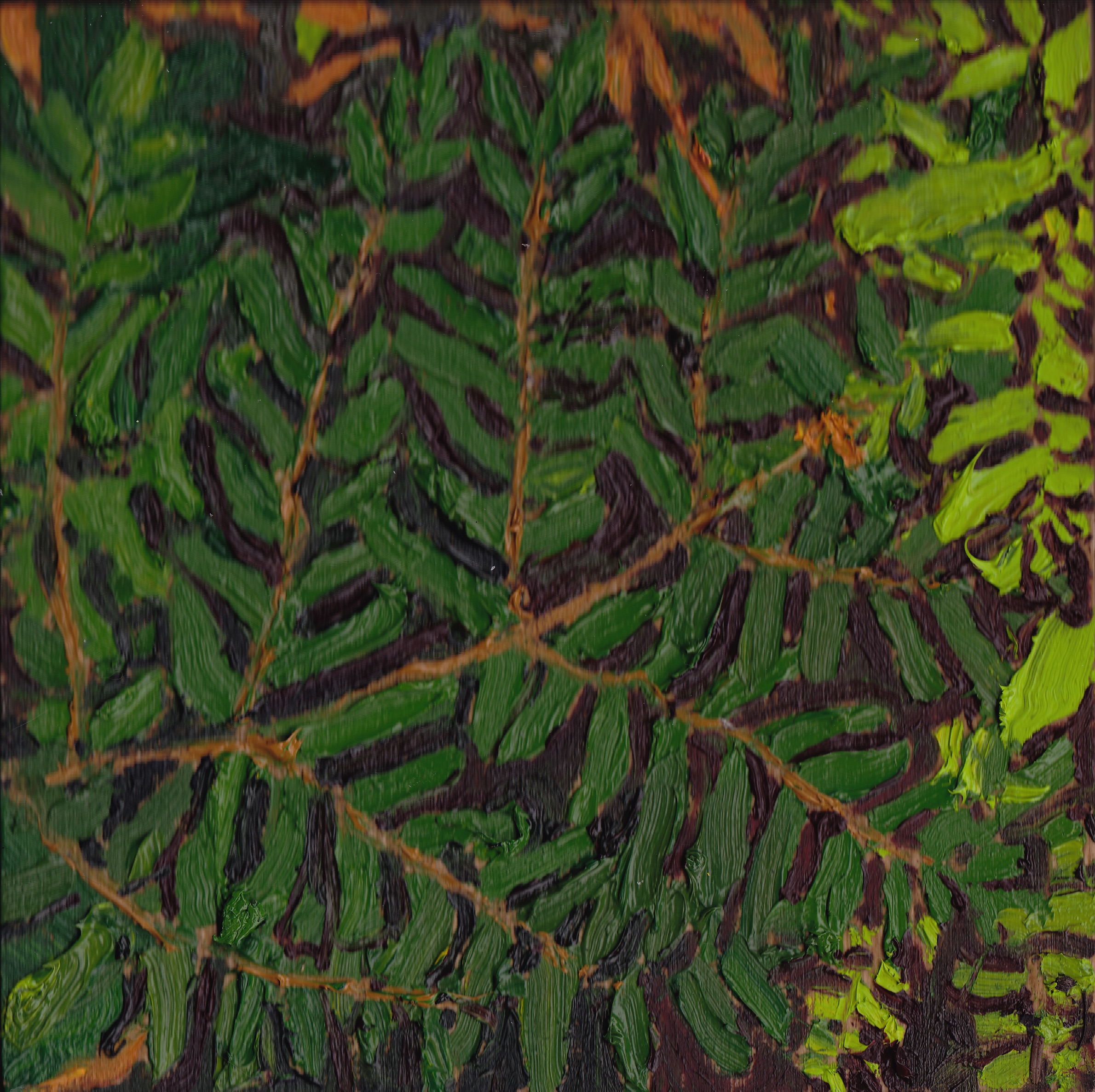 Fern Study