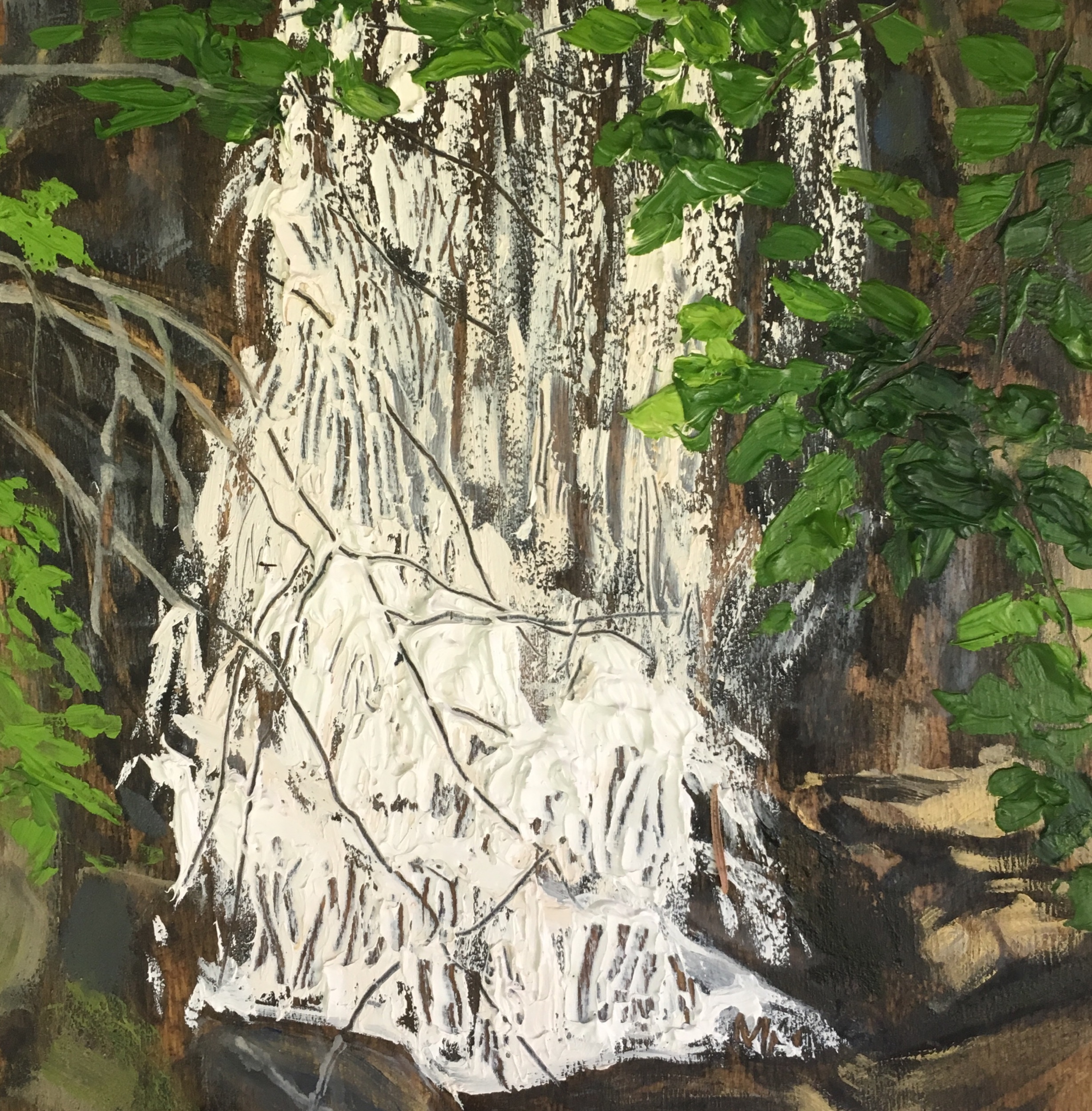 The Water Falling