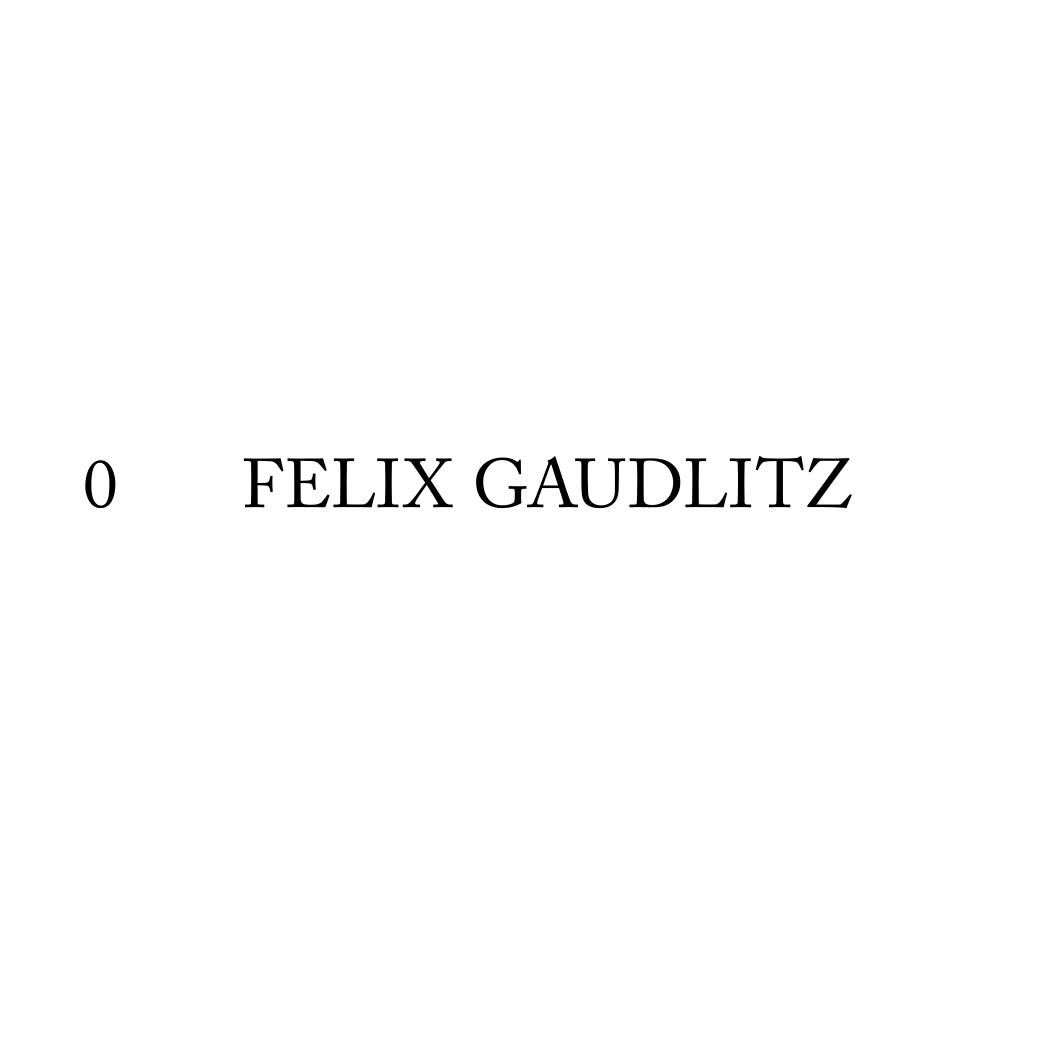 Felix Gaudlitz