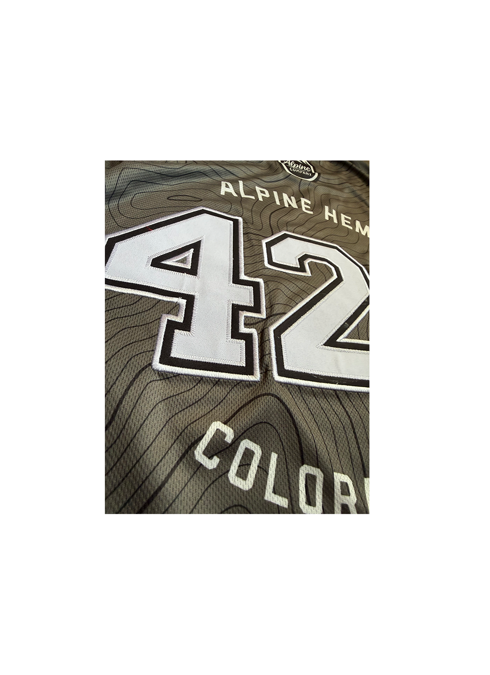 Alpine Jersey 3.png