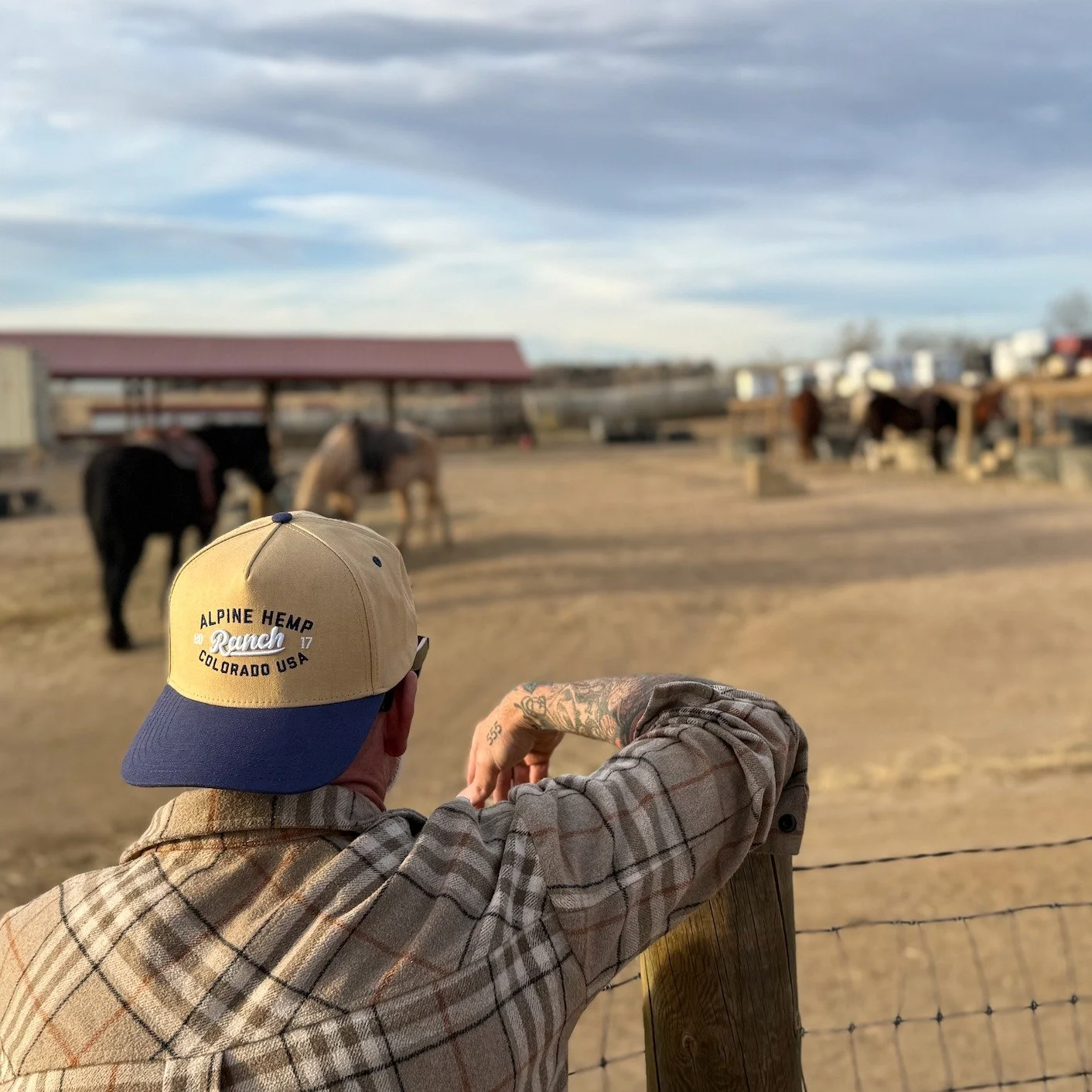 Howdy Ya'll!
MEET THE Alpine Hemp Co. RANCH HAT. 

A little bit country &amp; a lot a bit STONEY. 

Available Now!

The Ranch Hat by Alpine Hemp Co. is a modern classic&mdash;rooted in Cannabis ranch style, raised in the mountains, and ready for wher