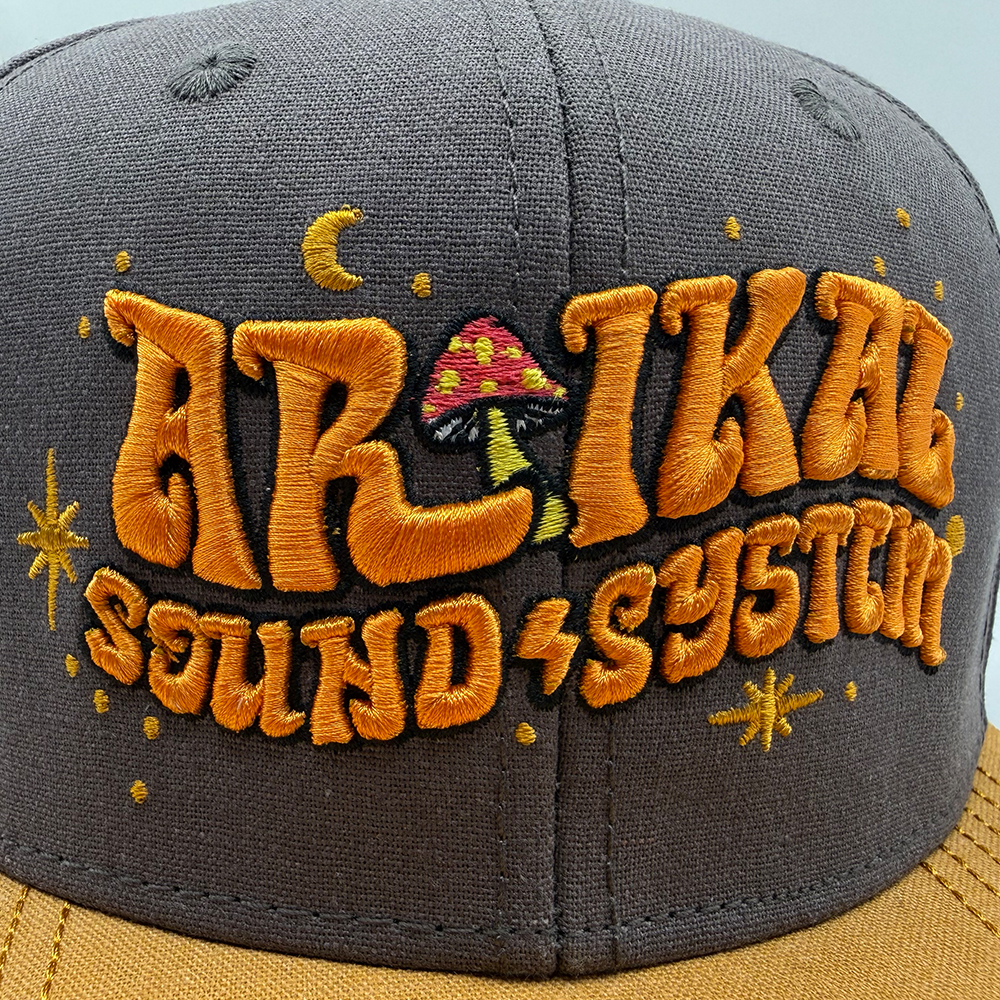 Artikal 5.png