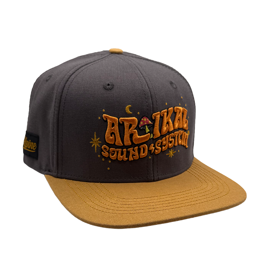 Artikal 1.png