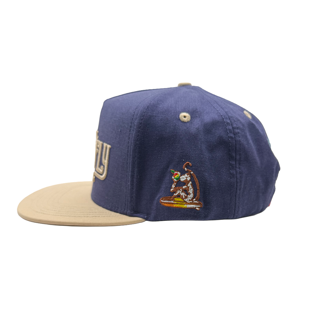 Beach fly Blue 2.png