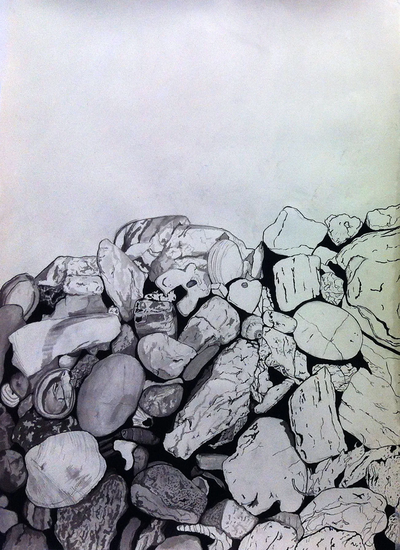 Collection, 24” x 36”, Ink and graphite on paper