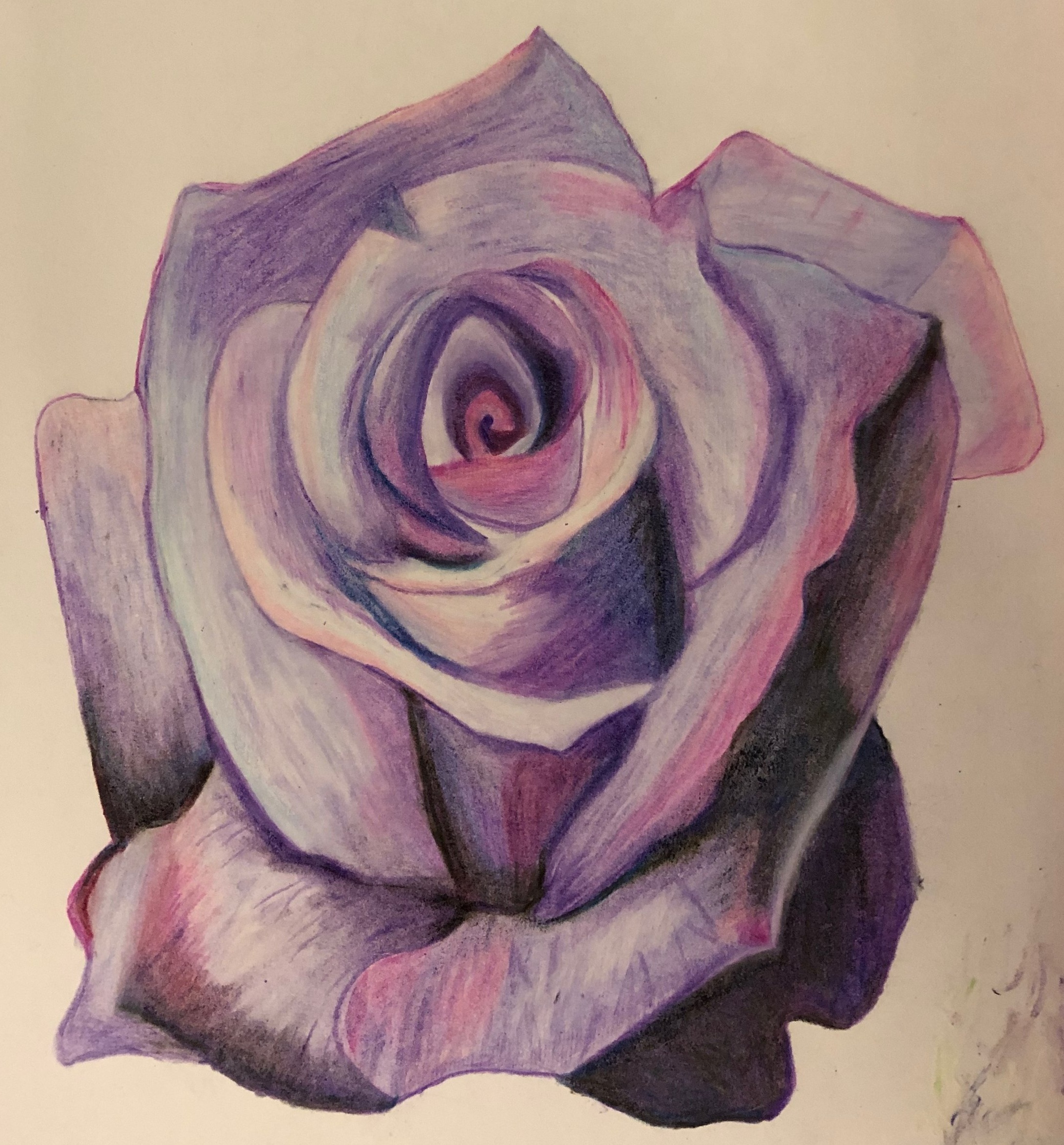 IMG_1626.jpeg