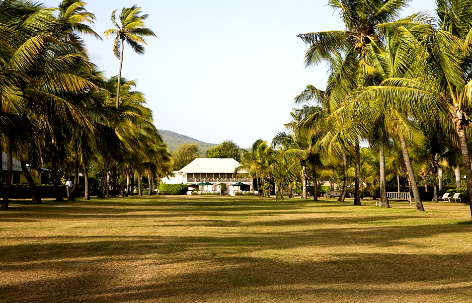 nevis8.jpg