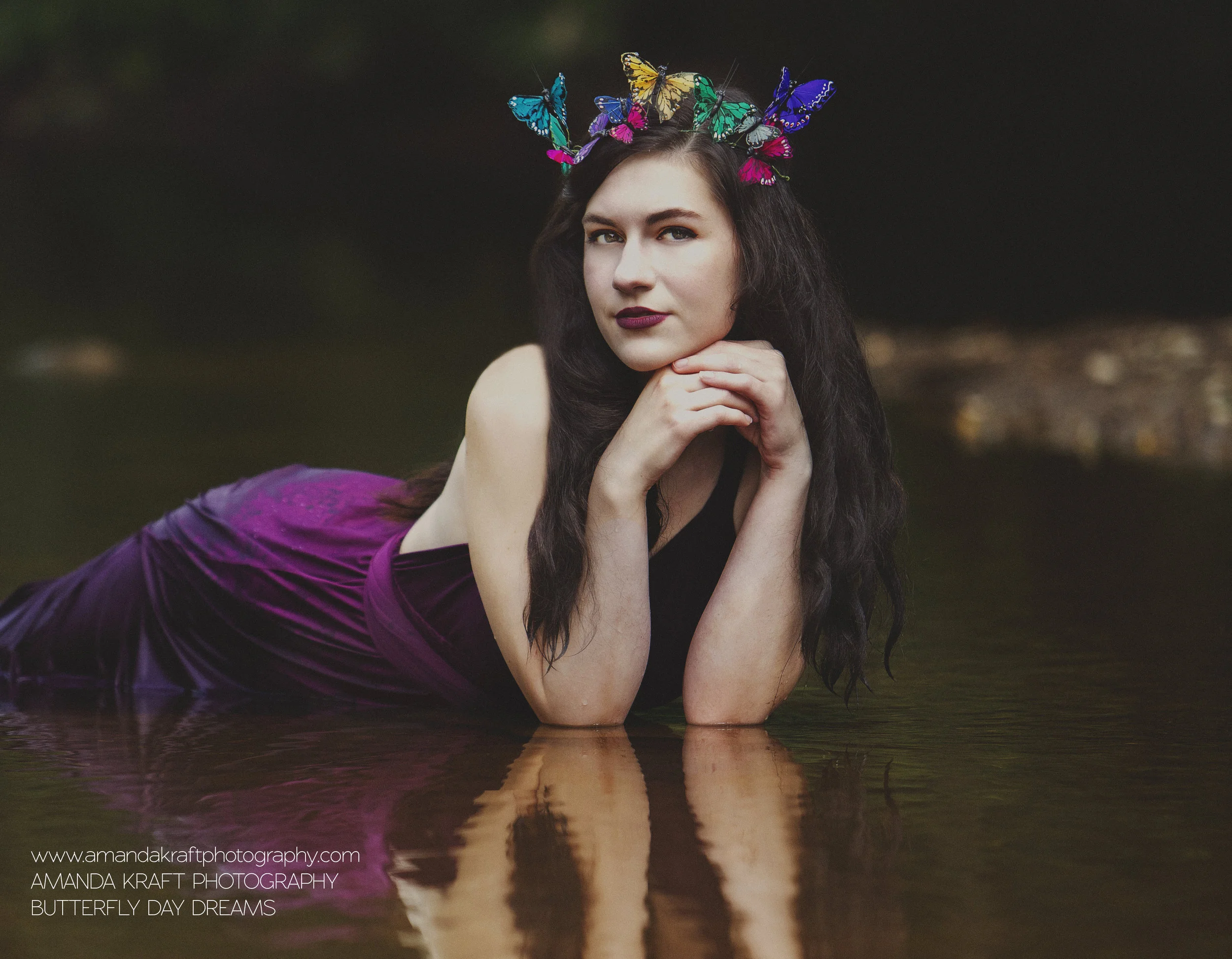 butterflydaydreams.jpg