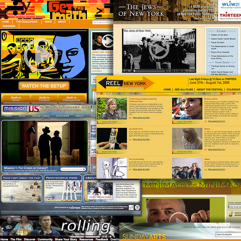 Screen grabs from sites produced for local New York markets and WNET educational initiatives