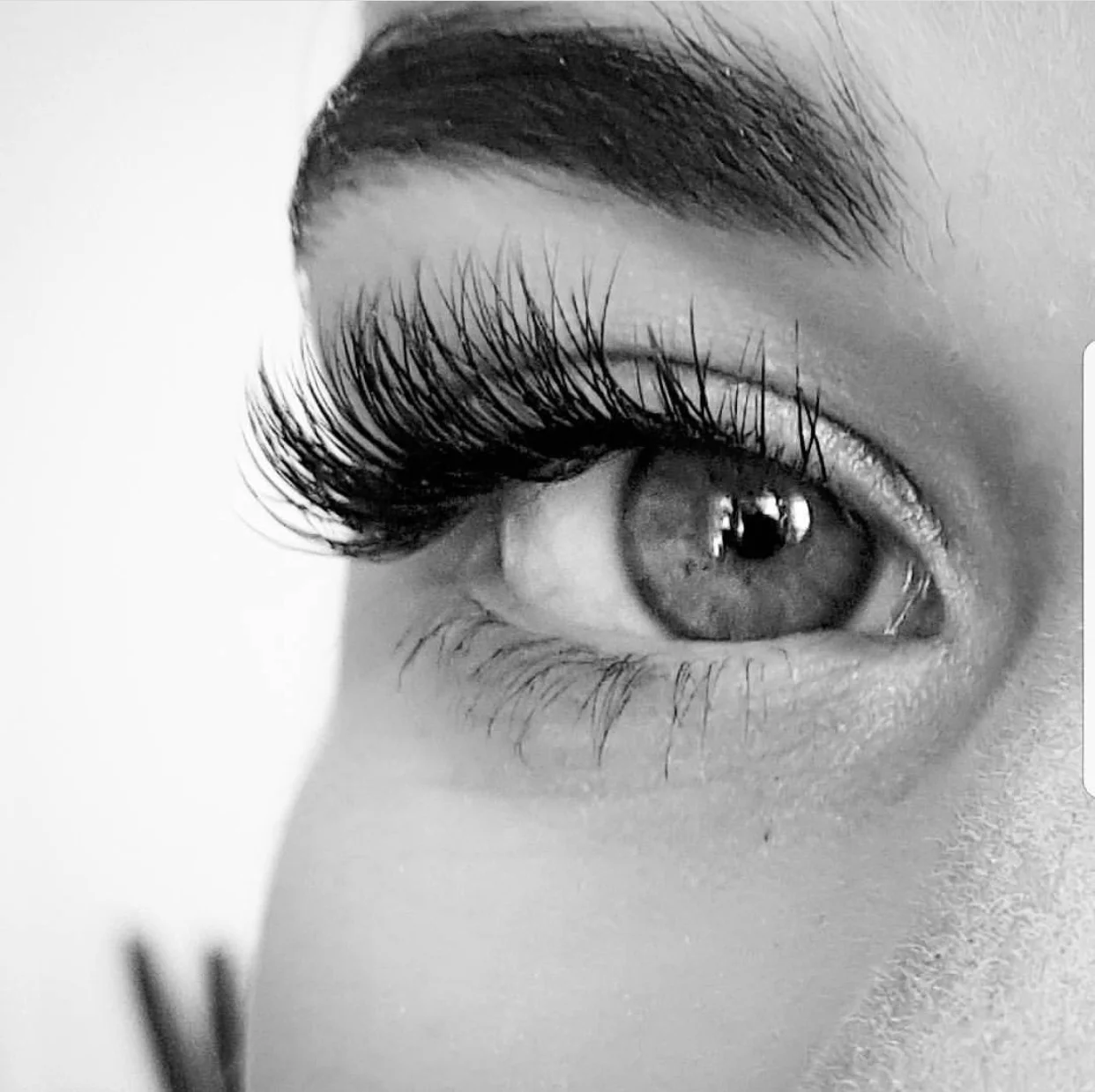 Lashes are the curtains to your soul