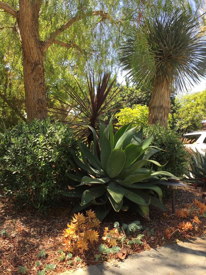 Details Gracescapes Design