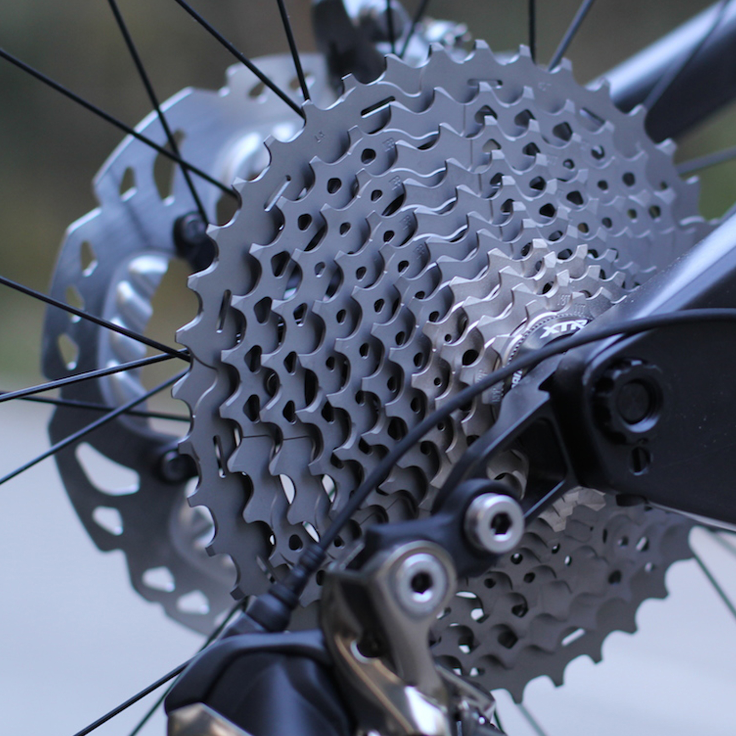 blue bicycle company