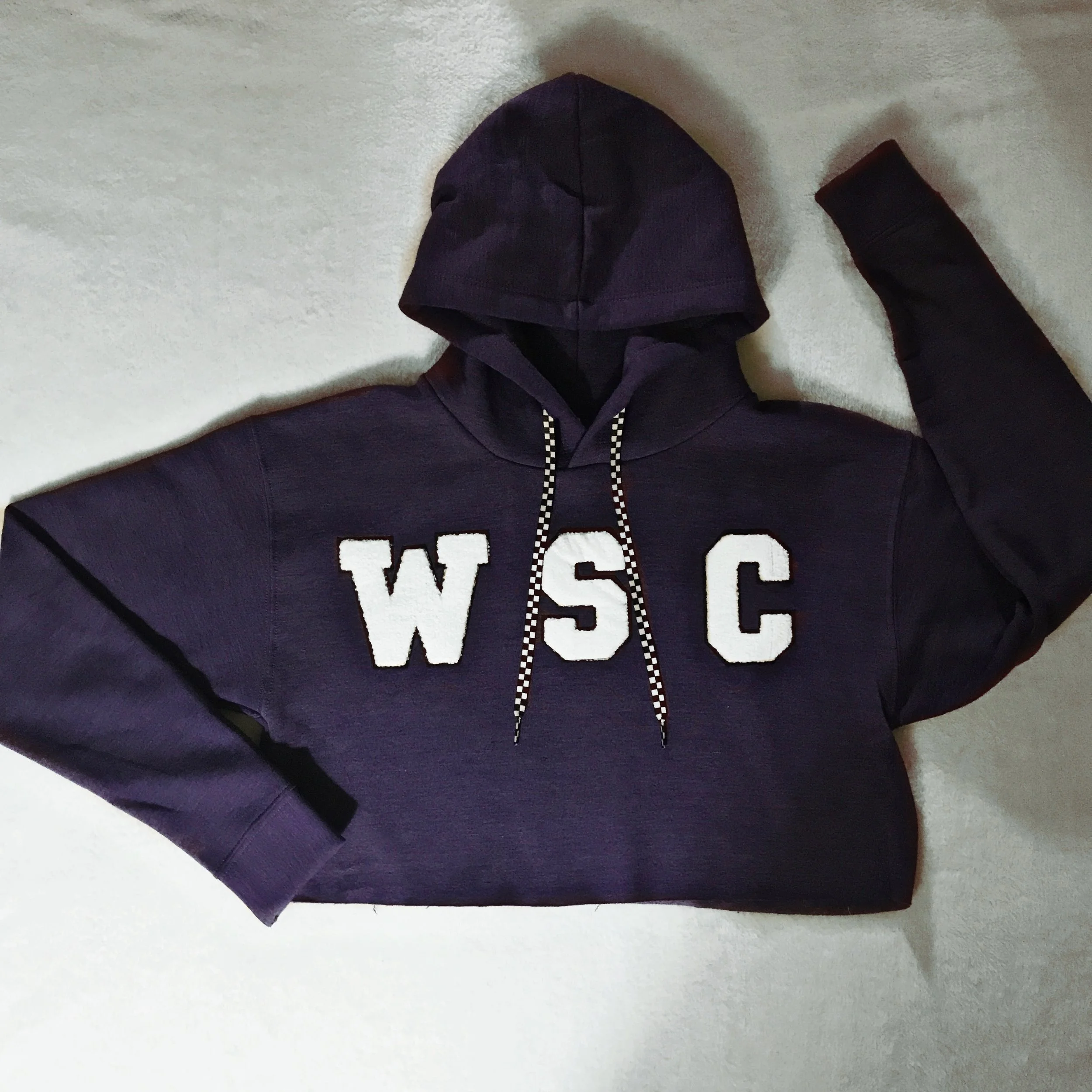 Purple WSC croptop.JPEG