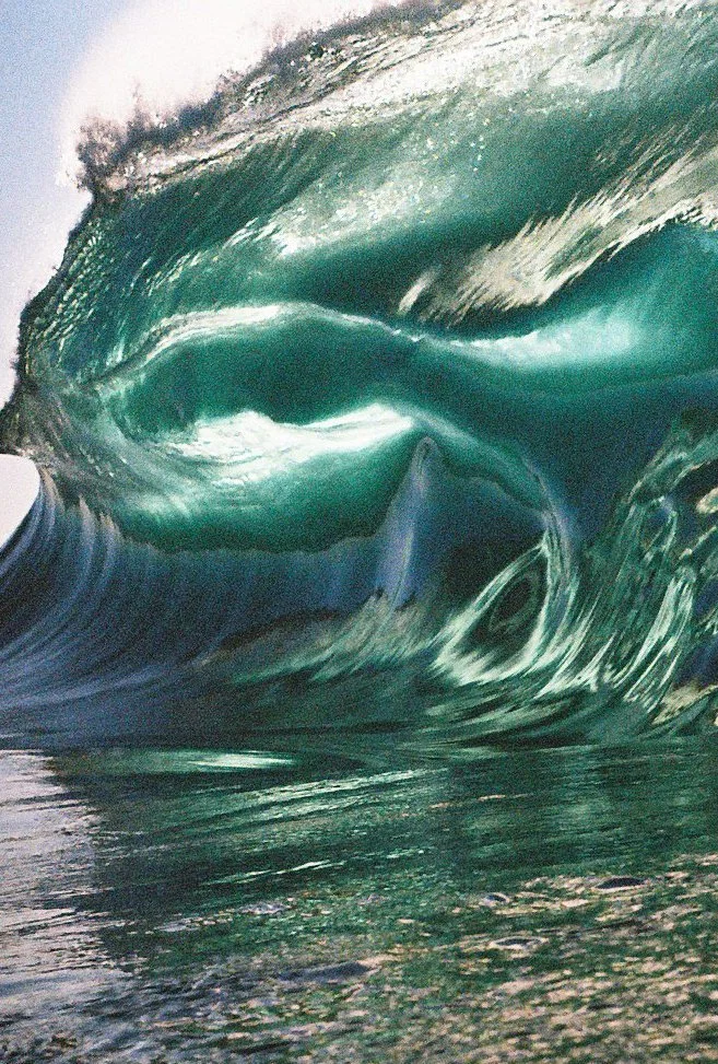 Film Photos For Website-13.jpg