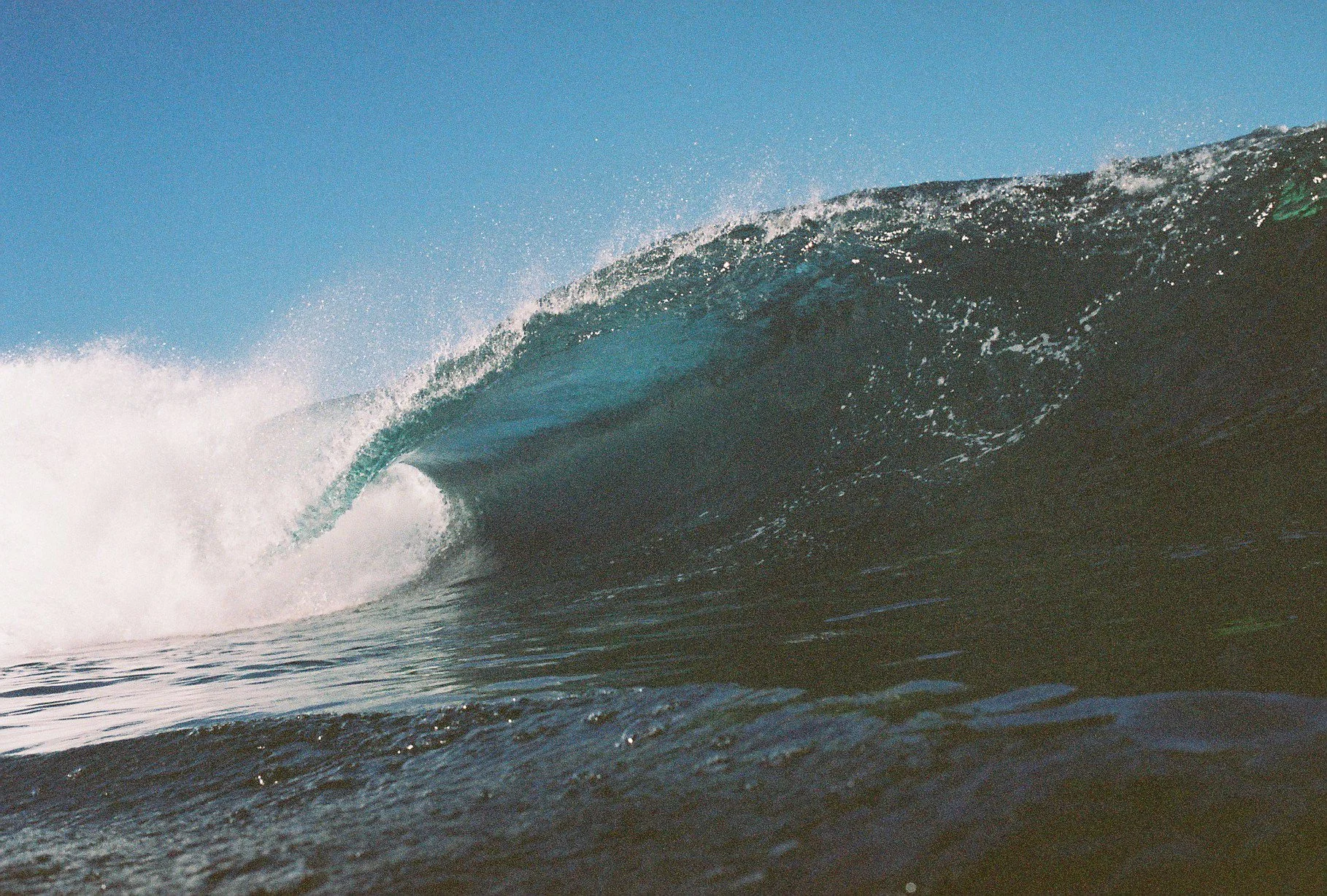 Film Photos For Website-12.jpg