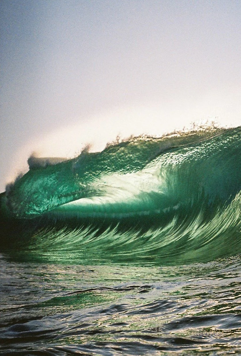 Film Photos For Website-14.jpg