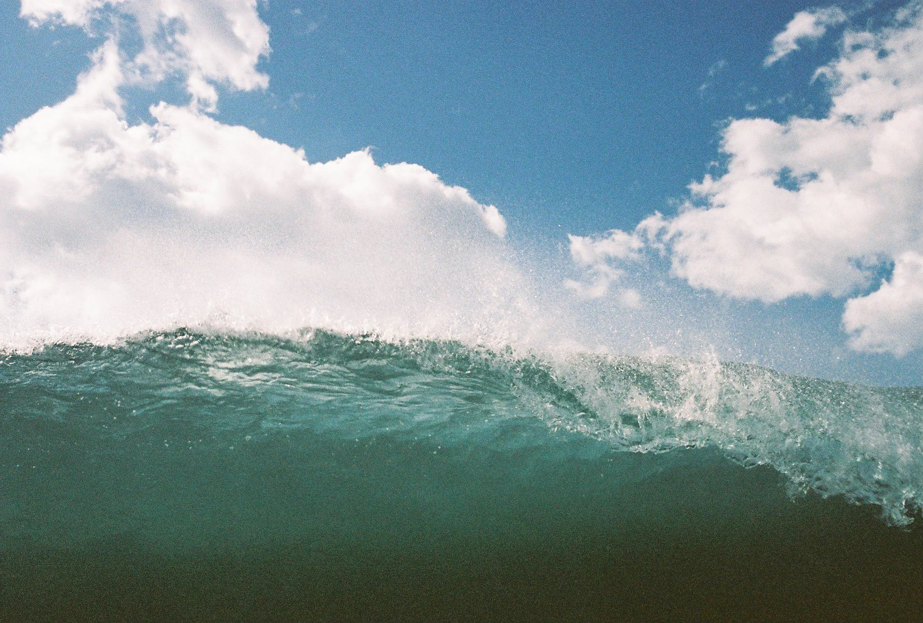 Film Photos For Website-16.jpg