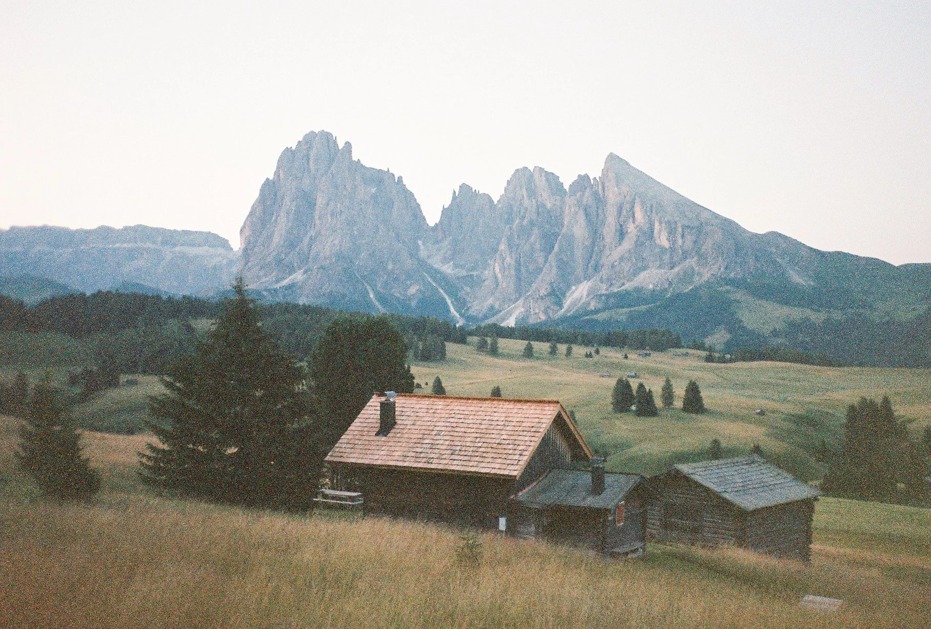 Film Photos For Website-24.jpg