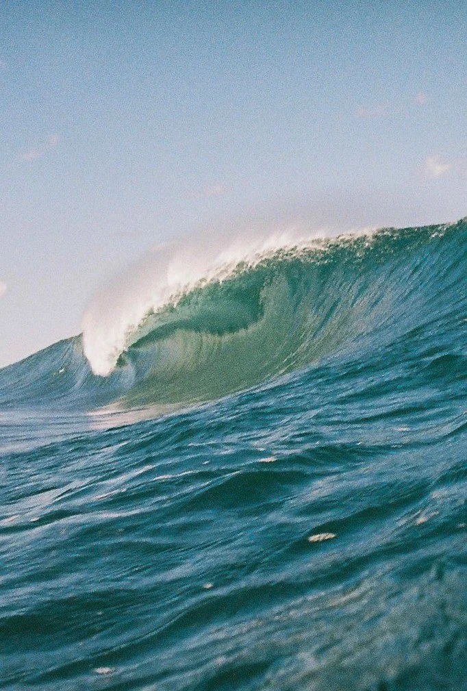 Film Photos For Website-34.jpg