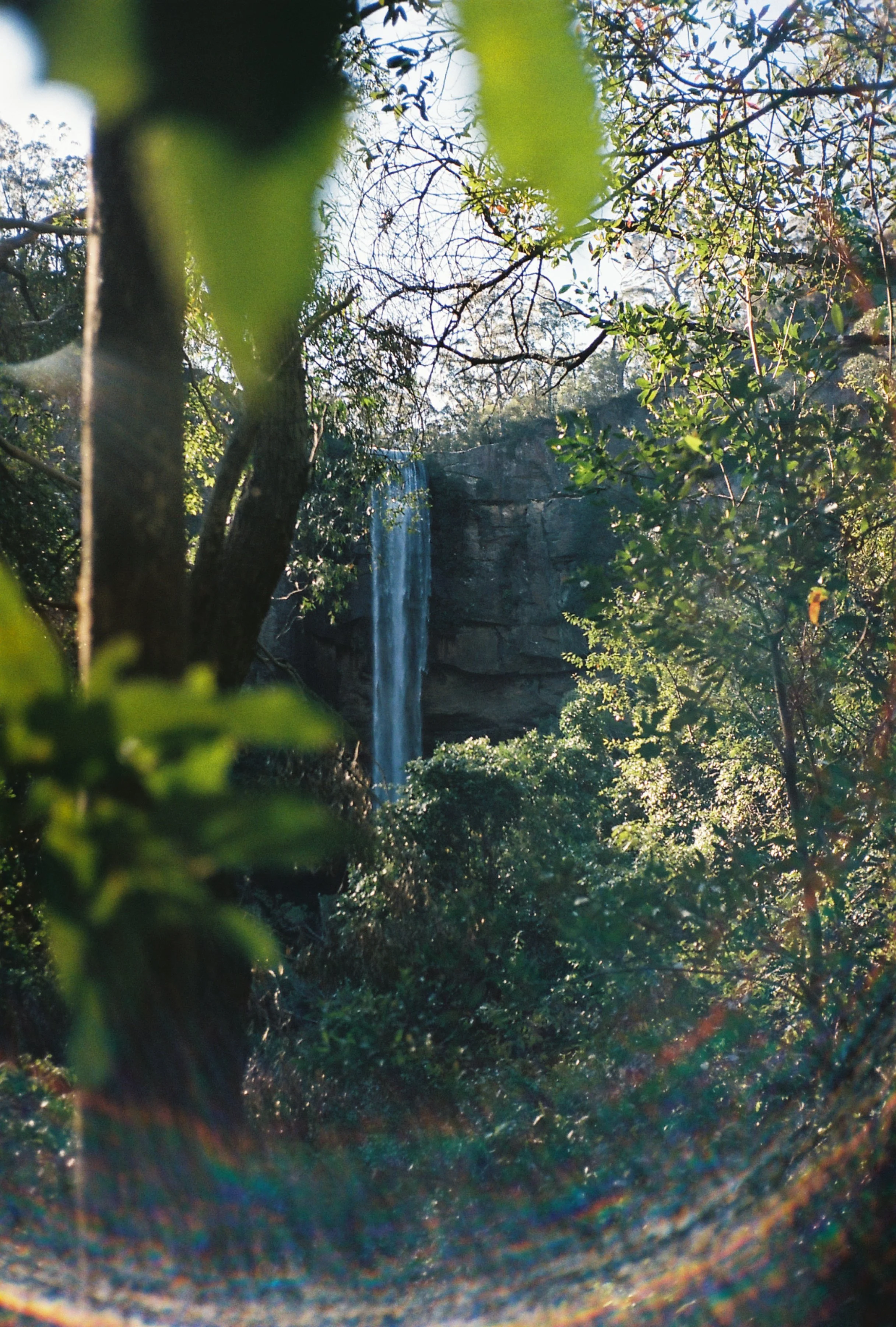 Film Photos For Website-47.jpg