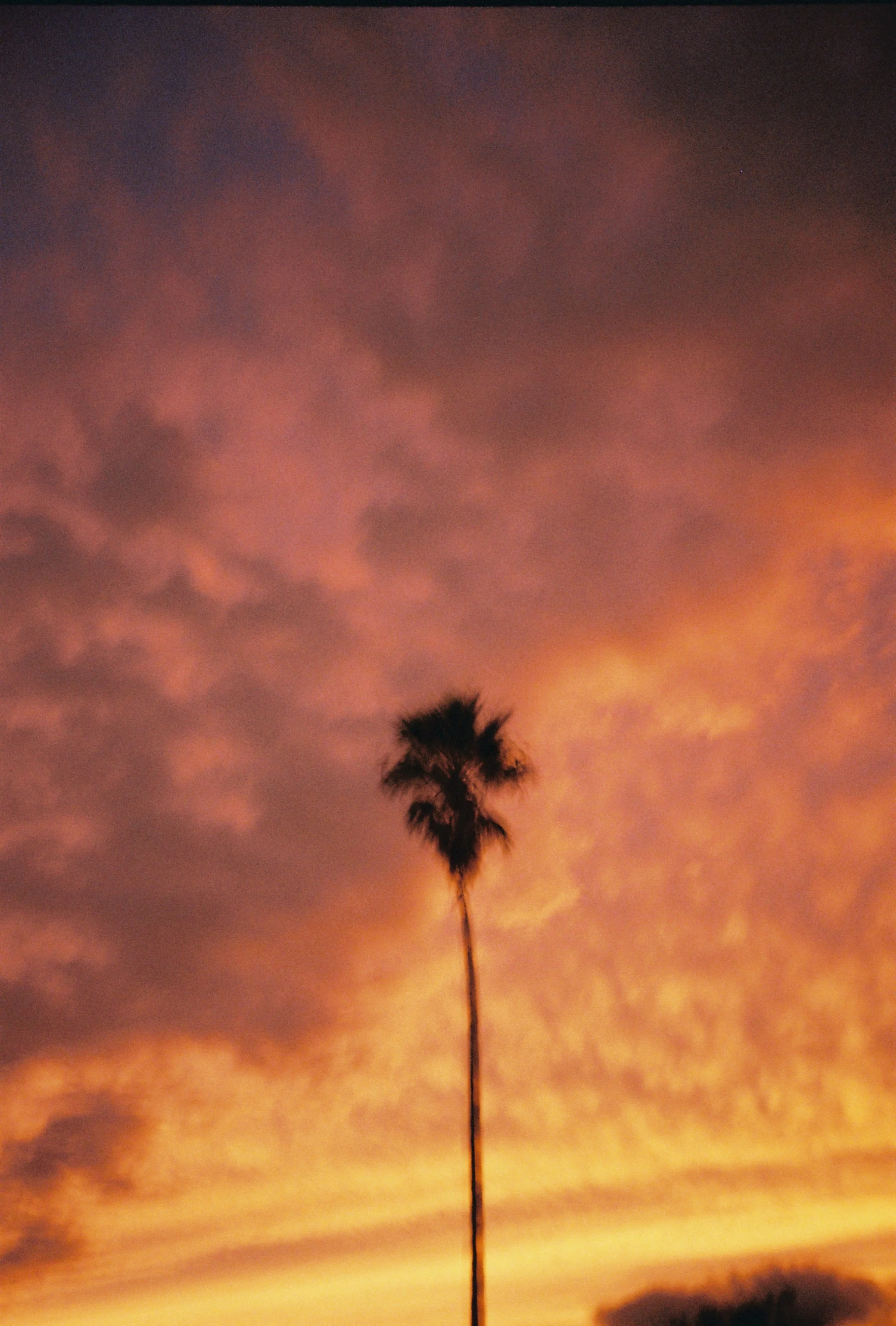 Film Photos For Website-50.jpg