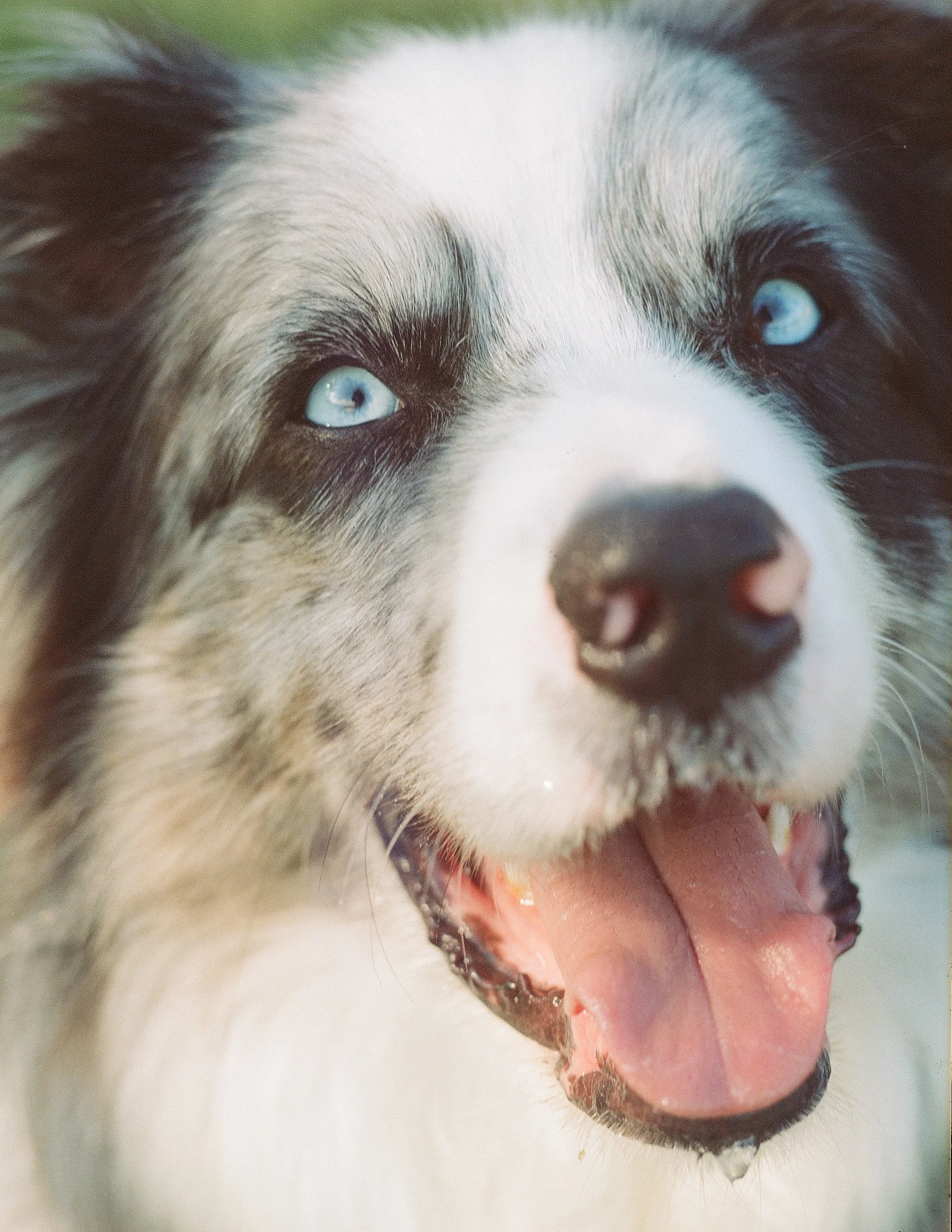 Film Photos For Website-81.jpg