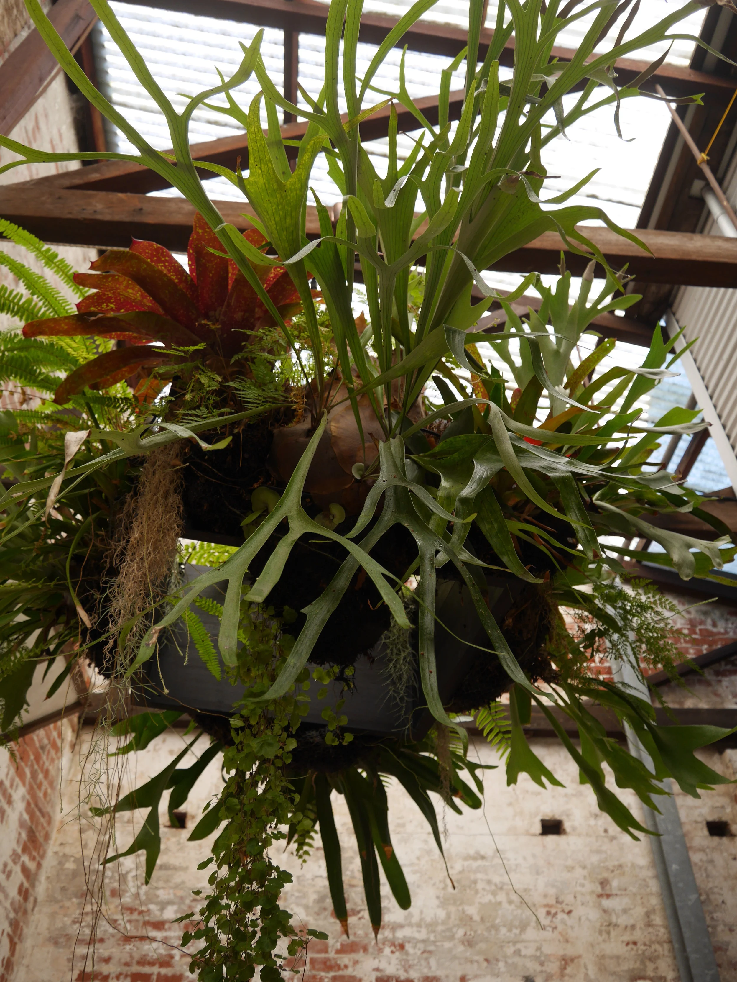 Fremantle Russell St 6.JPG