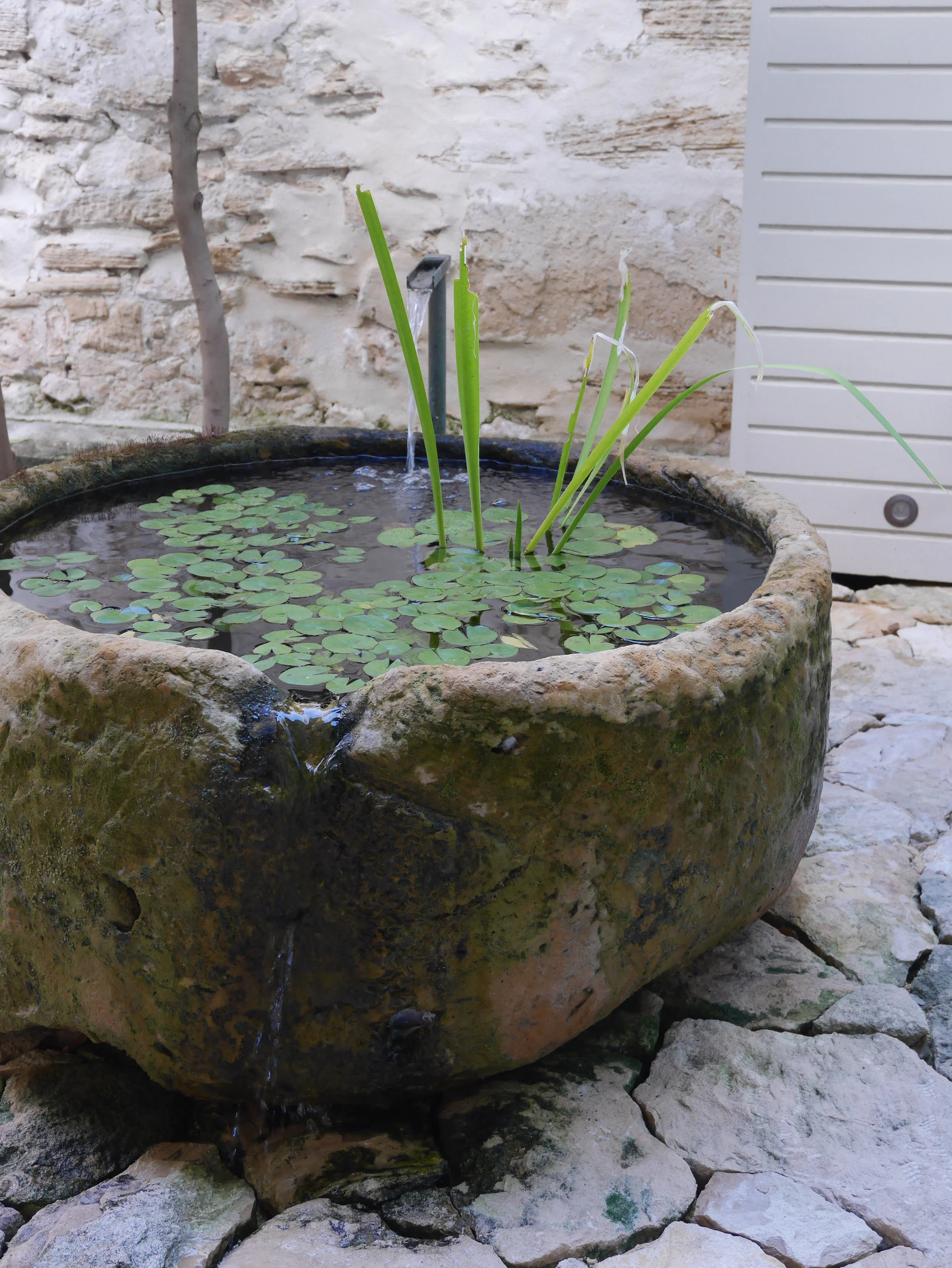 Fremantle Russell St 9.JPG