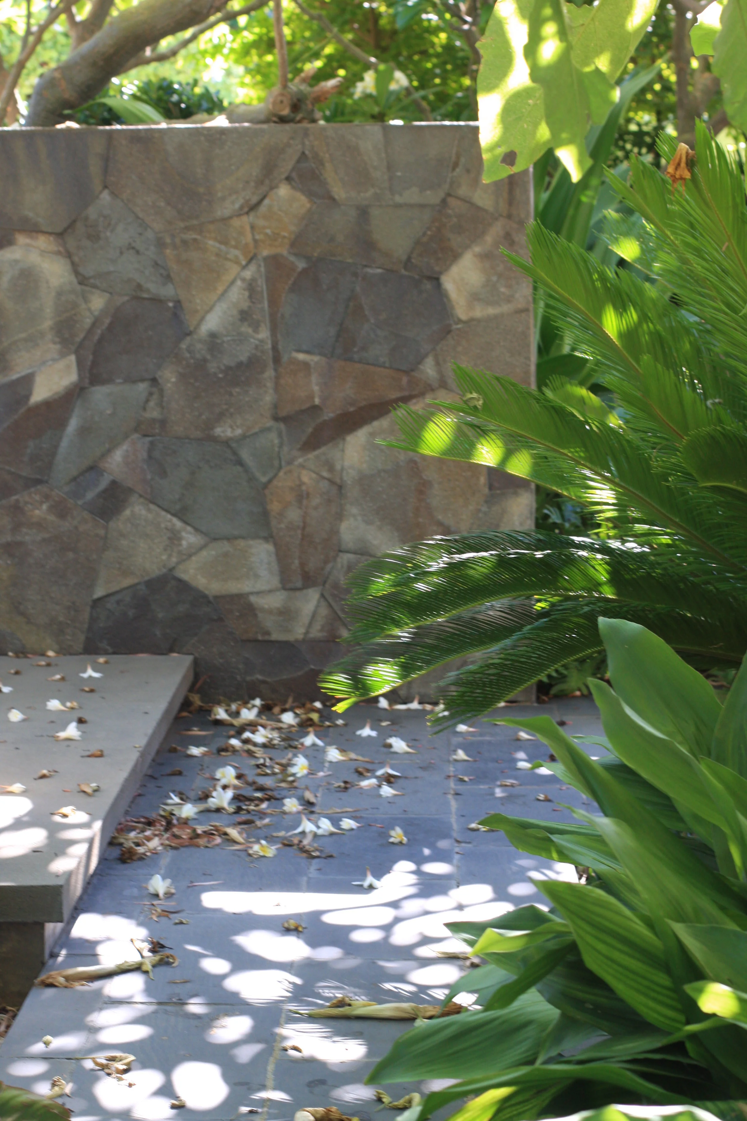 Cottesloe Rosser St 1.JPG