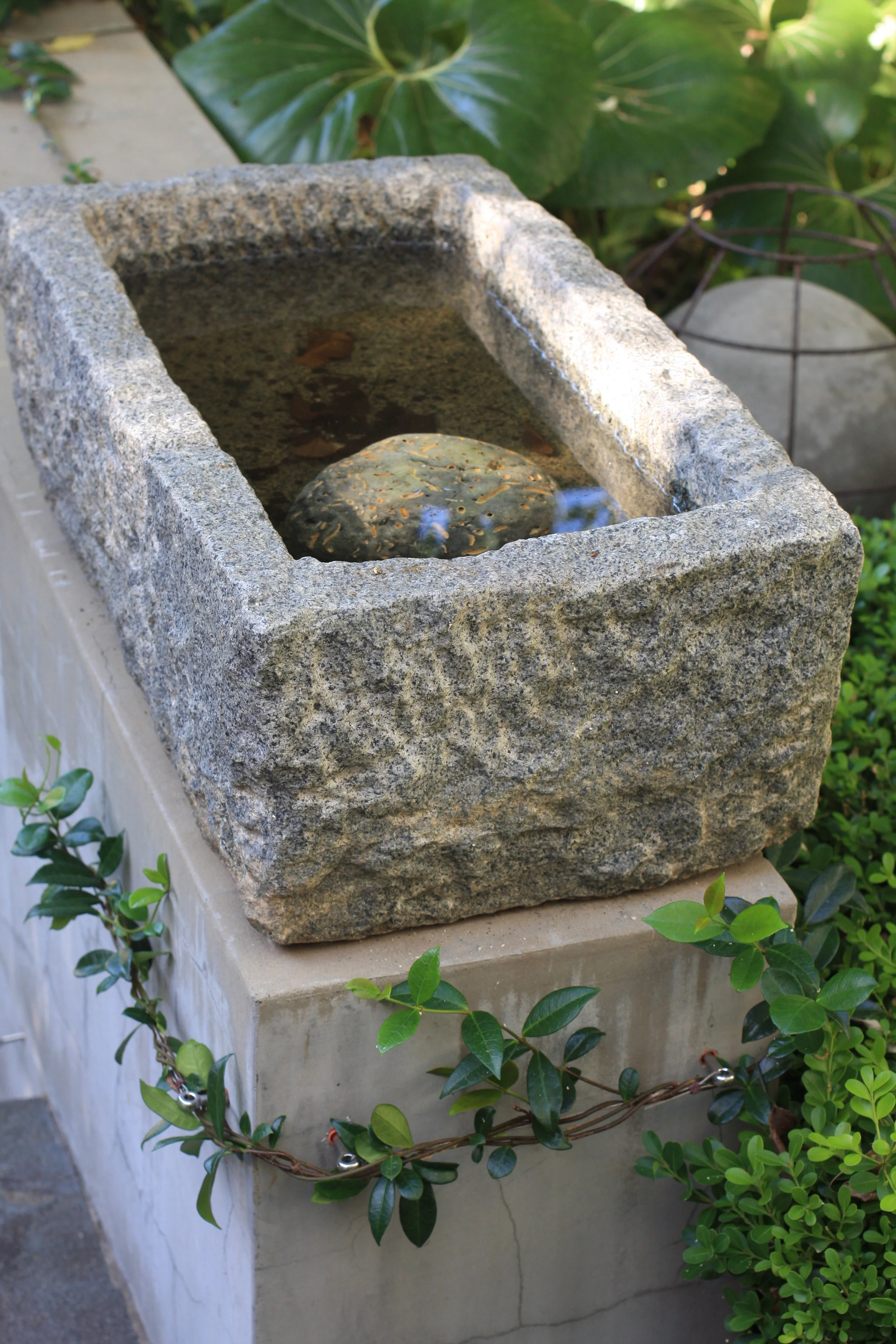 Cottesloe Rosser St 3.JPG