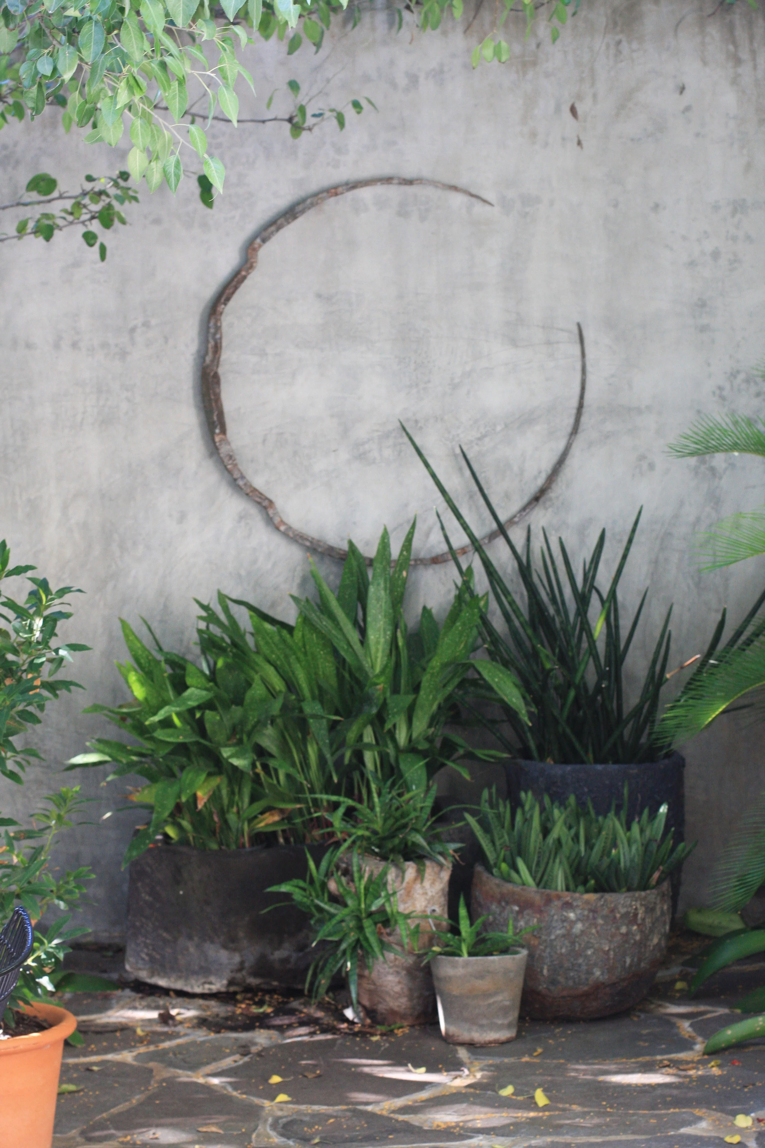 Cottesloe Rosser St 7.JPG