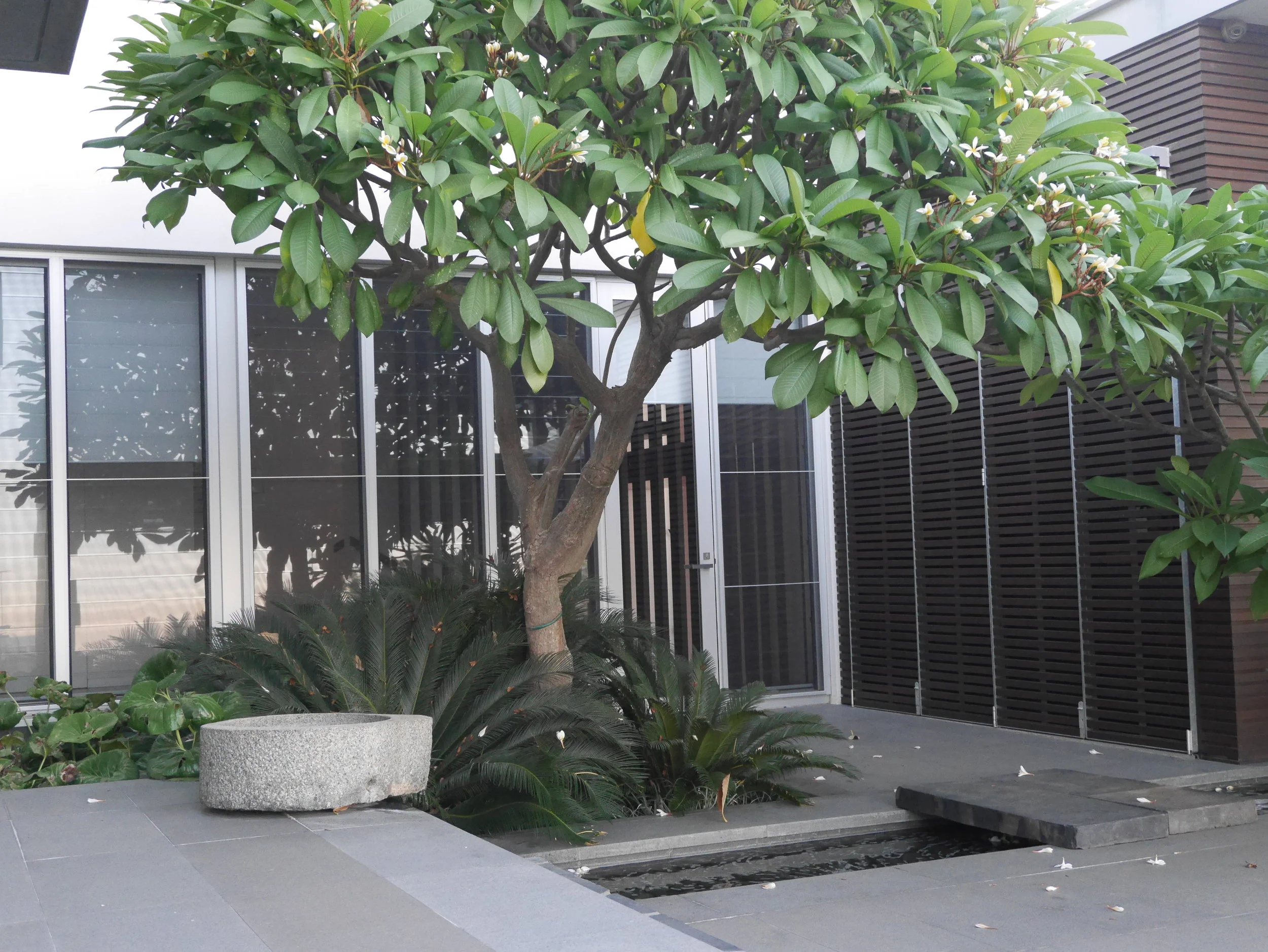 Blackwall Reach Parade 7.JPG