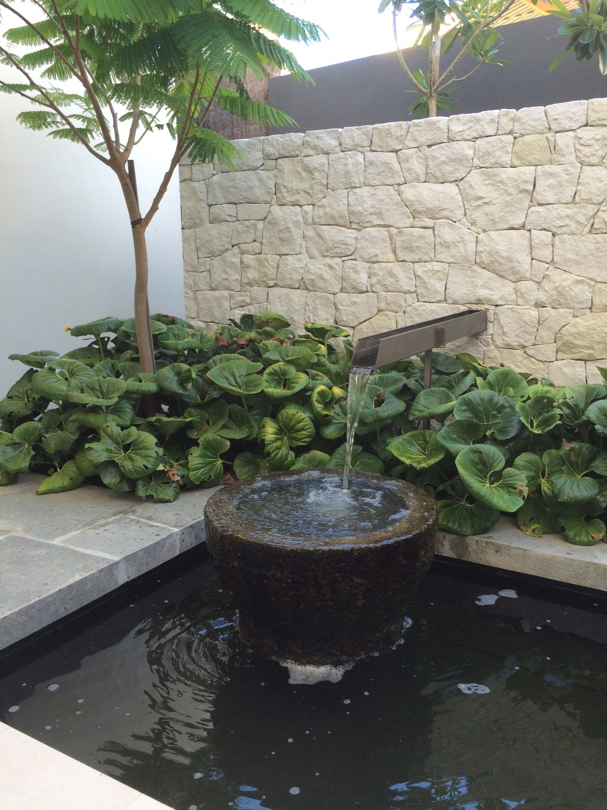 Clarendon St Cottesloe 1.JPG