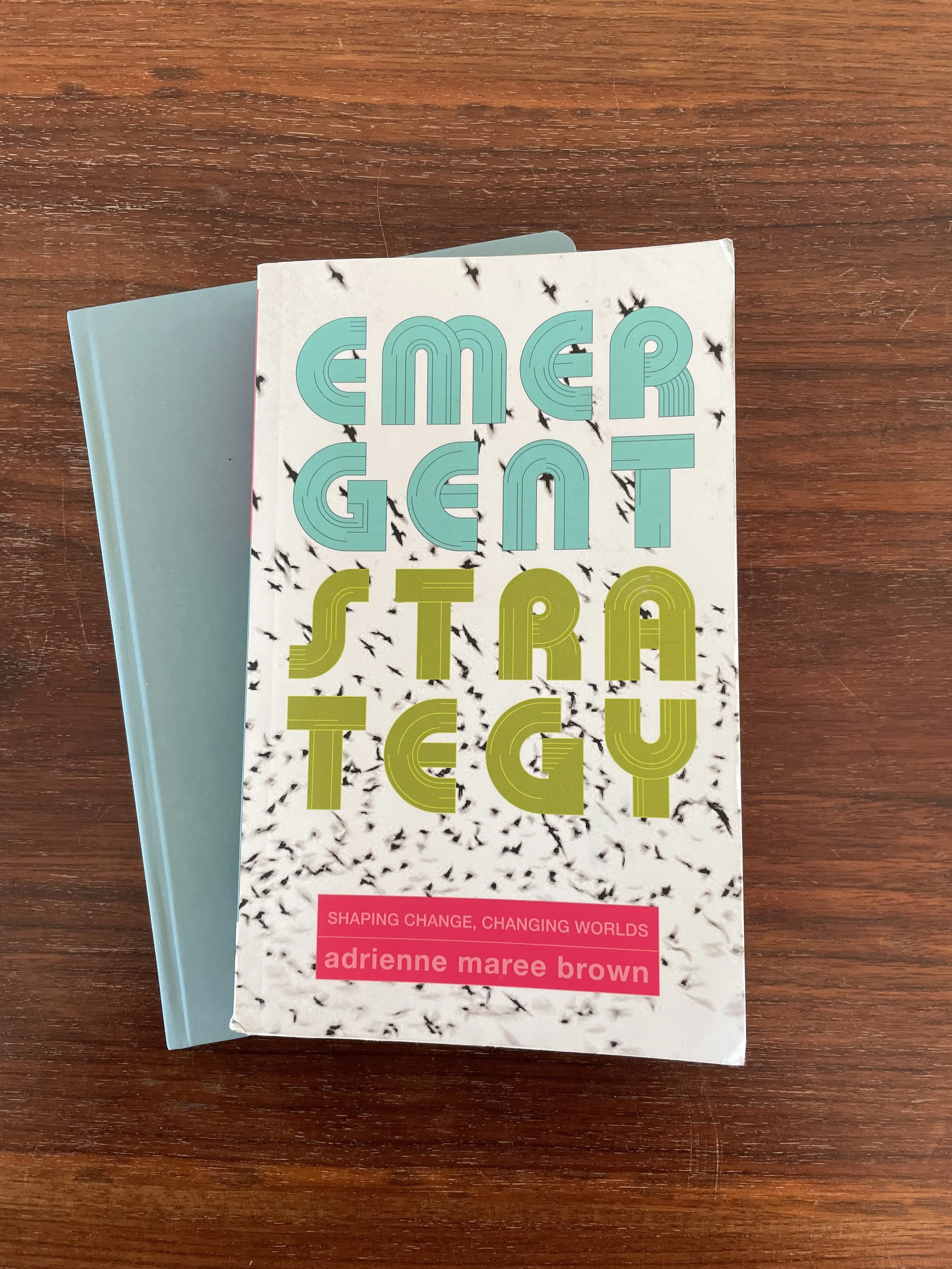 I found Emergent Strategy right on time.