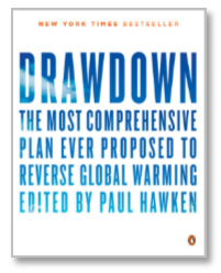 Drawdown book image.png