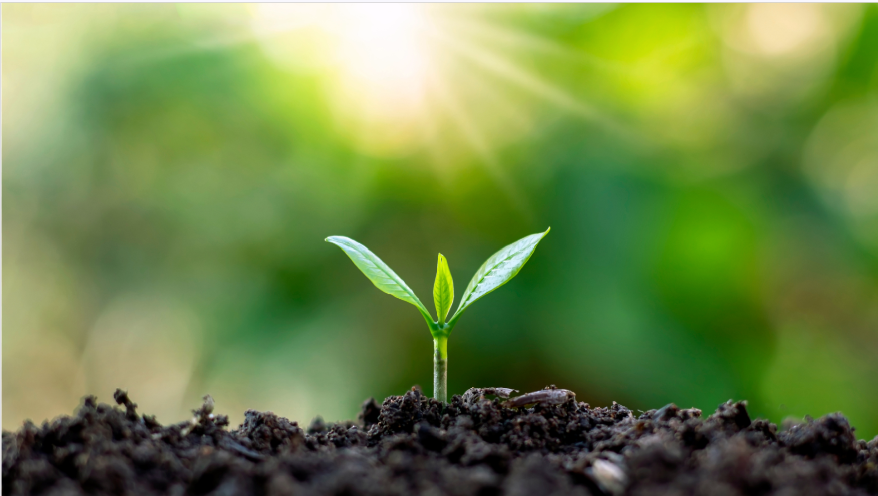 2026.03.29 featured image - small.png