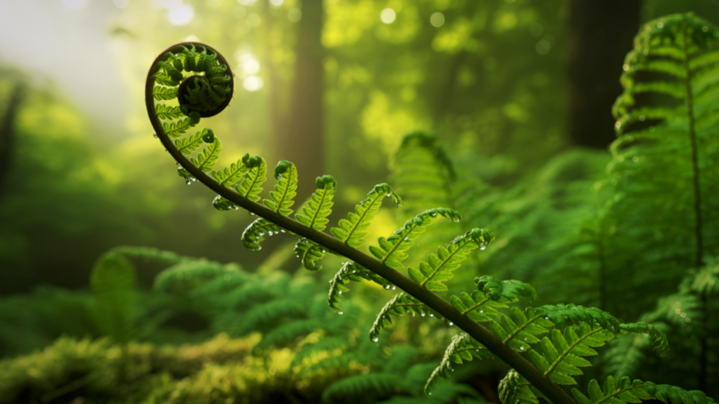 2026.04.26 featured image.png